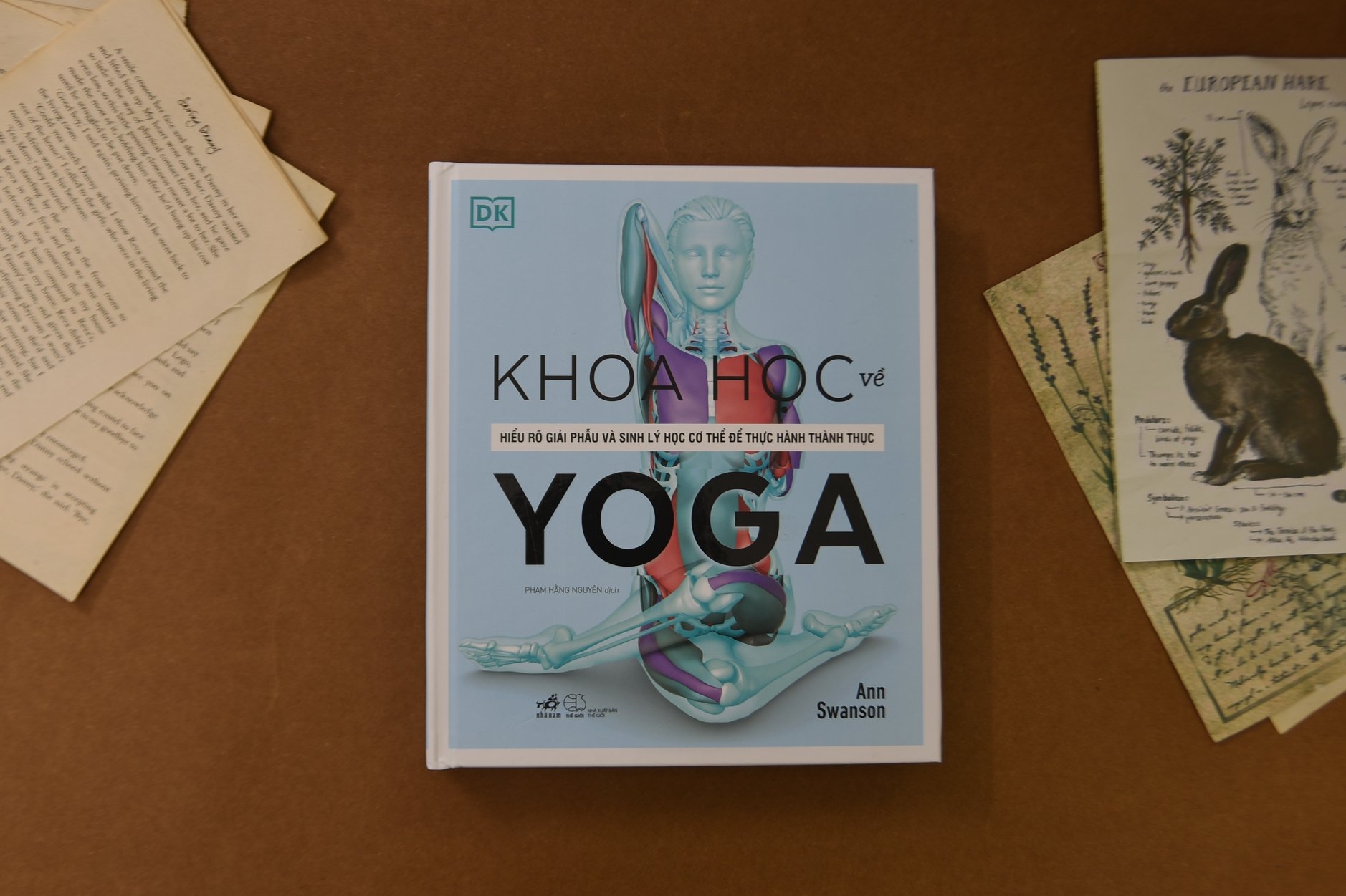 khoa học về yoga - Ảnh 3