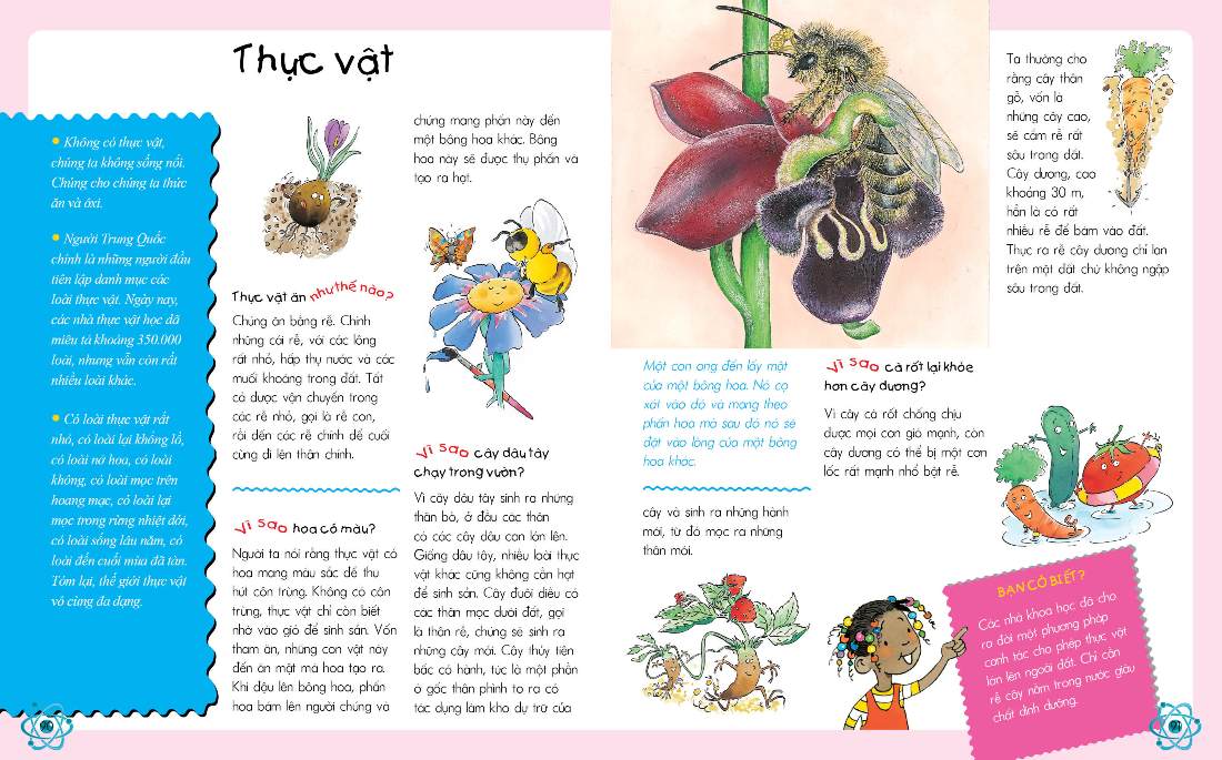 khoa học - vì sao? như thế nào? (tái bản 2018) - Ảnh 3