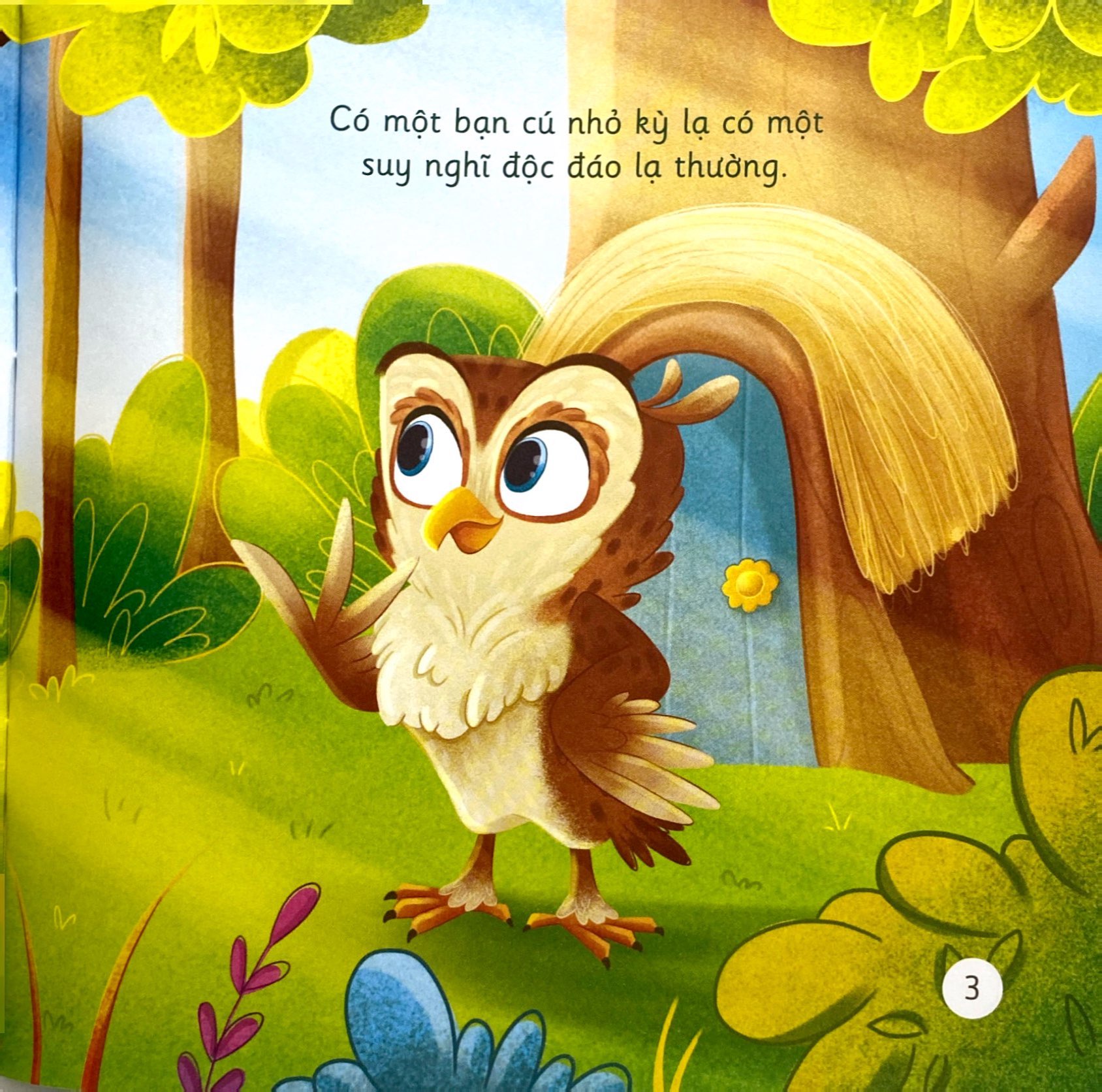 khơi gợi trí tưởng tượng và sáng tạo - cú mèo ollie ngủ xuyên đêm - khám phá góc nhìn mới về thiên nhiên - Ảnh 4