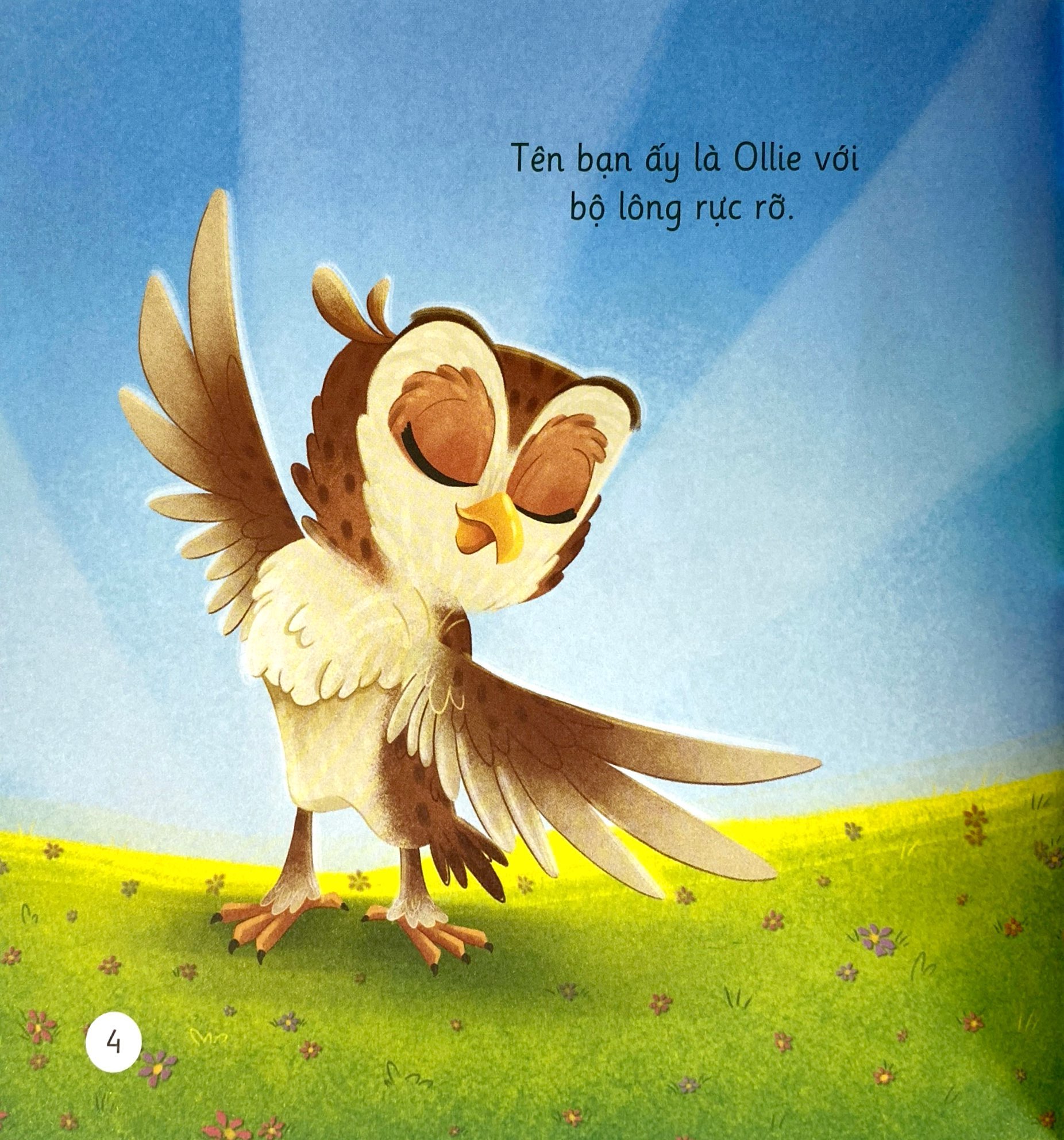 khơi gợi trí tưởng tượng và sáng tạo - cú mèo ollie ngủ xuyên đêm - khám phá góc nhìn mới về thiên nhiên - Ảnh 5