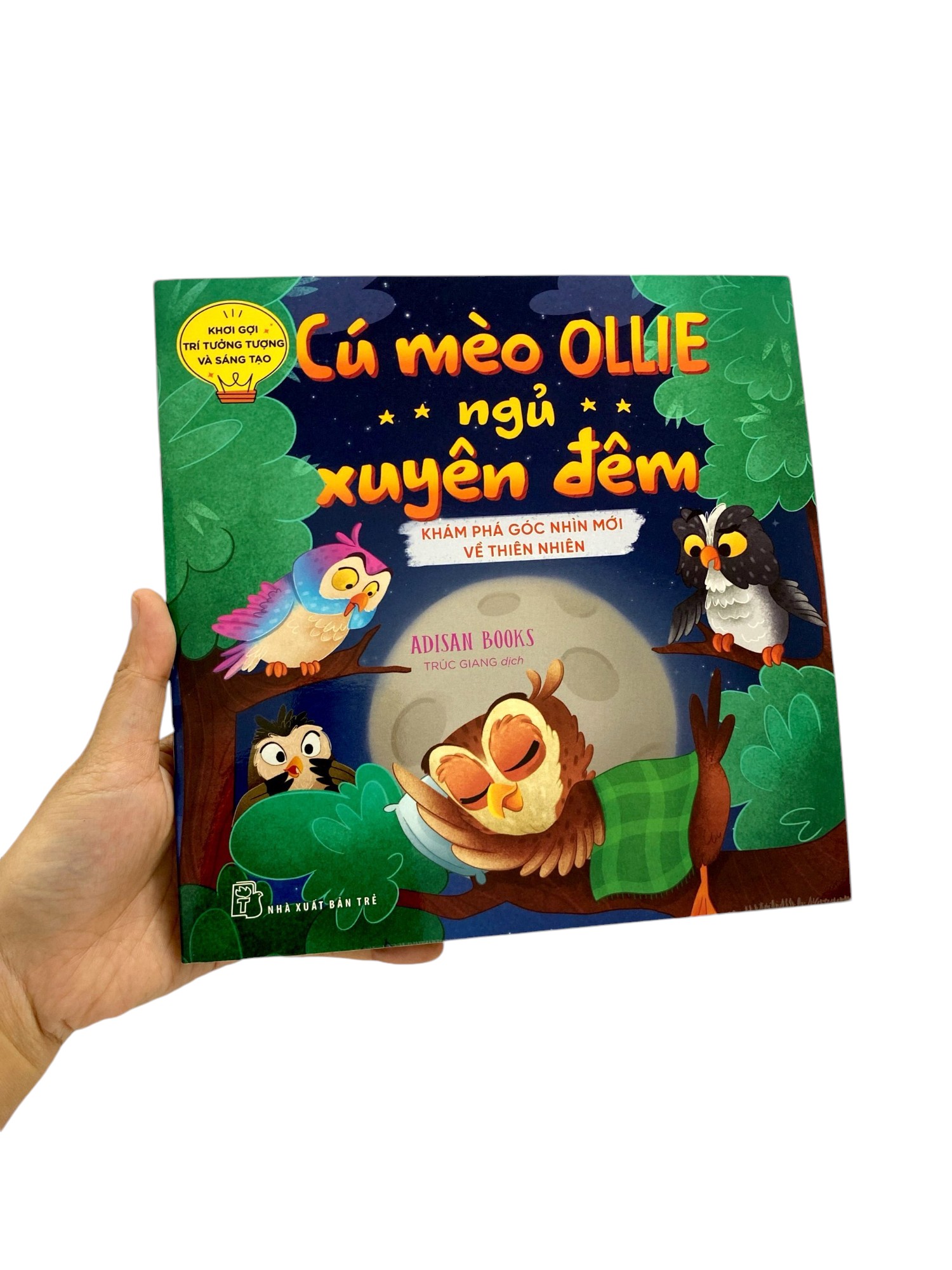 khơi gợi trí tưởng tượng và sáng tạo - cú mèo ollie ngủ xuyên đêm - khám phá góc nhìn mới về thiên nhiên - Ảnh 7