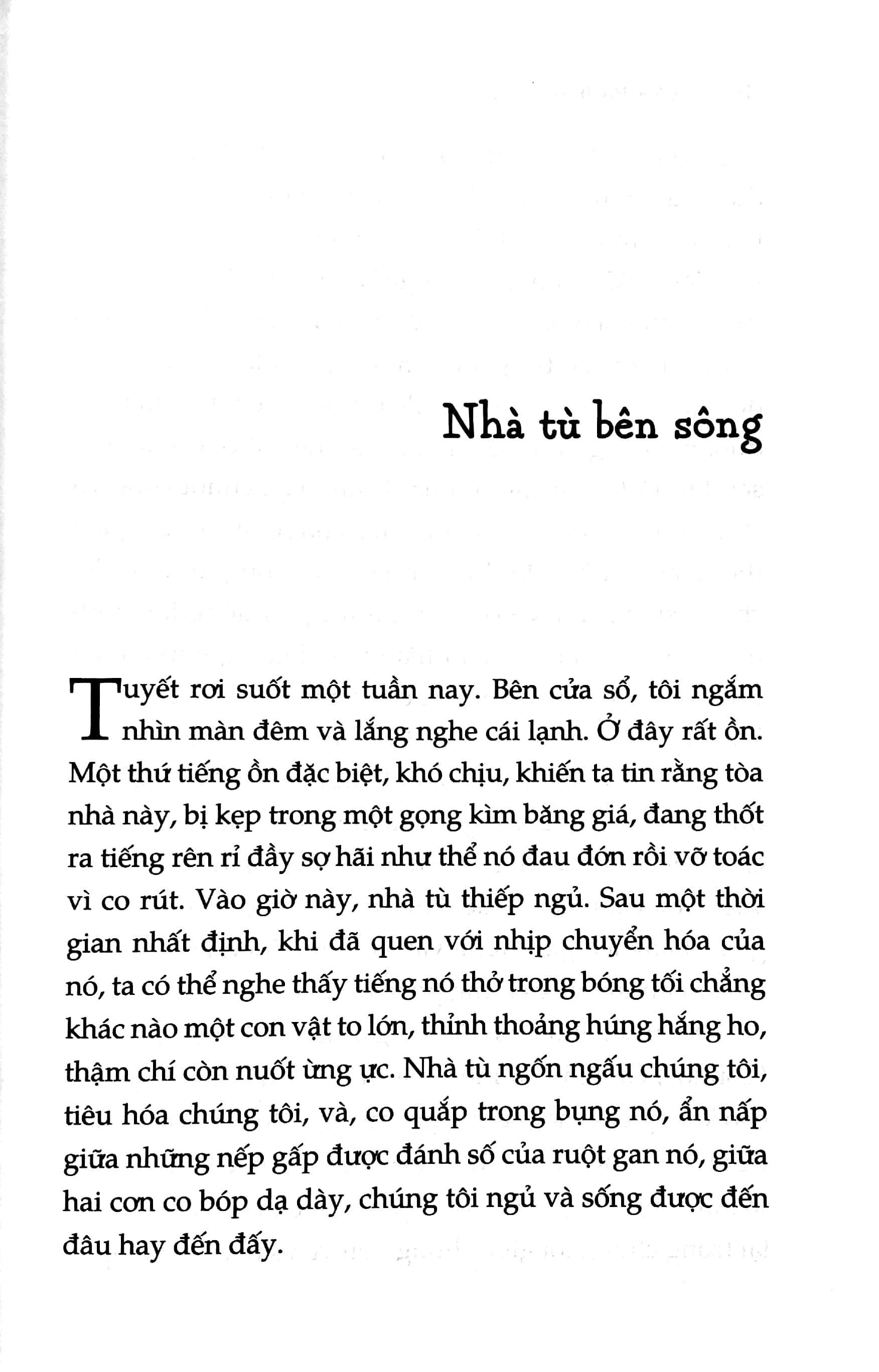 không ai sống giống ai trong cuộc đời này - Ảnh 5