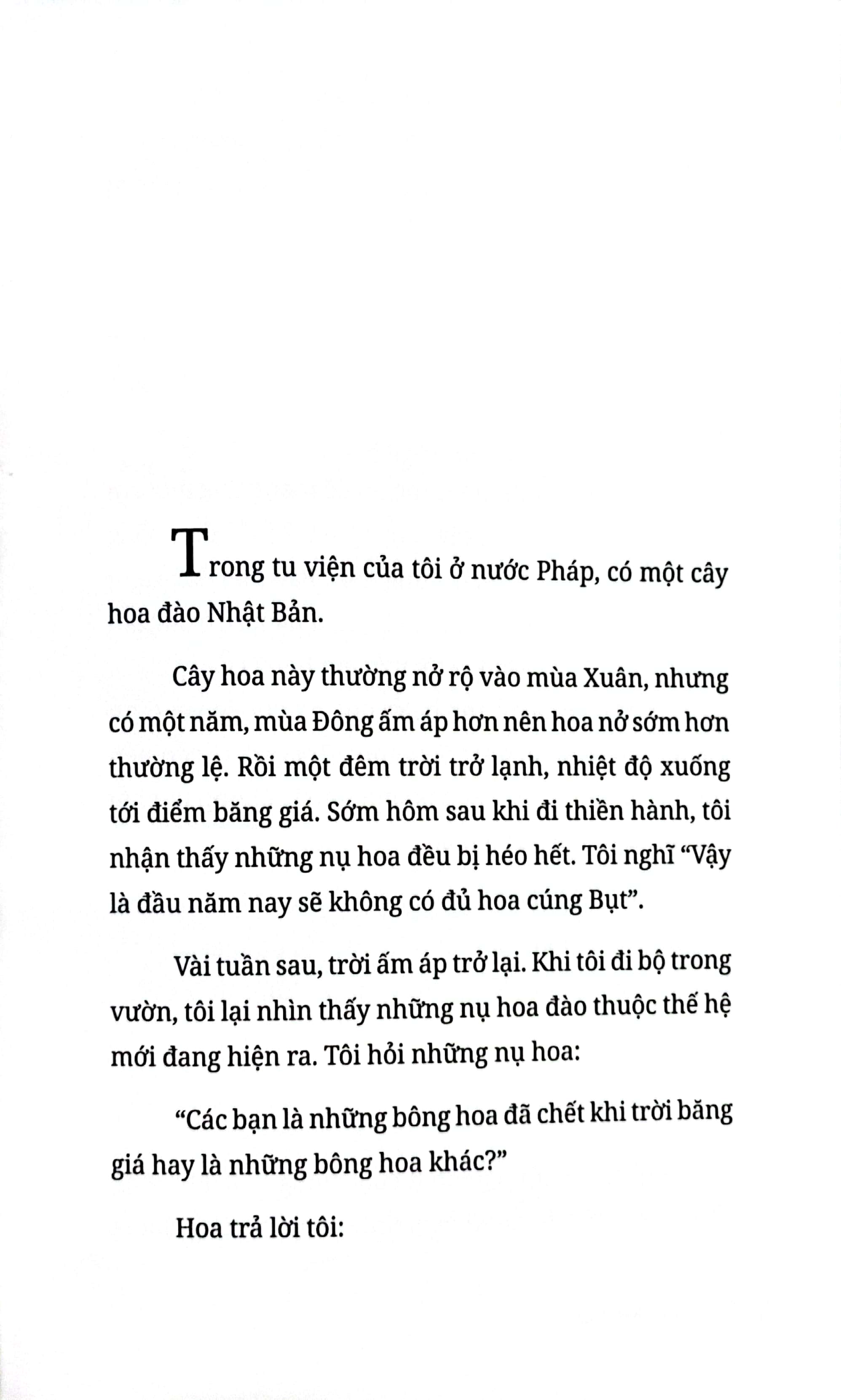 không diệt không sinh đừng sợ hãi - bìa cứng - phiên bản đặc biệt - tặng kèm postcard + bút chì khắc tên sách - Ảnh 16