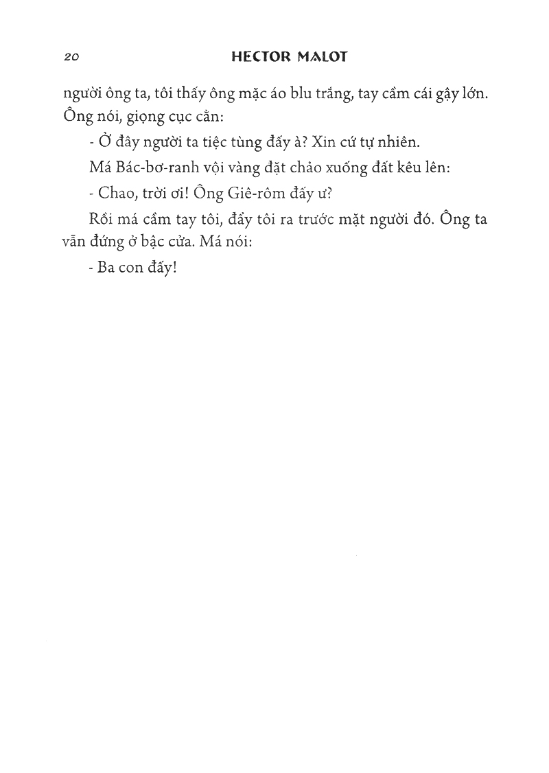 không gia đình - bìa cứng - Ảnh 14