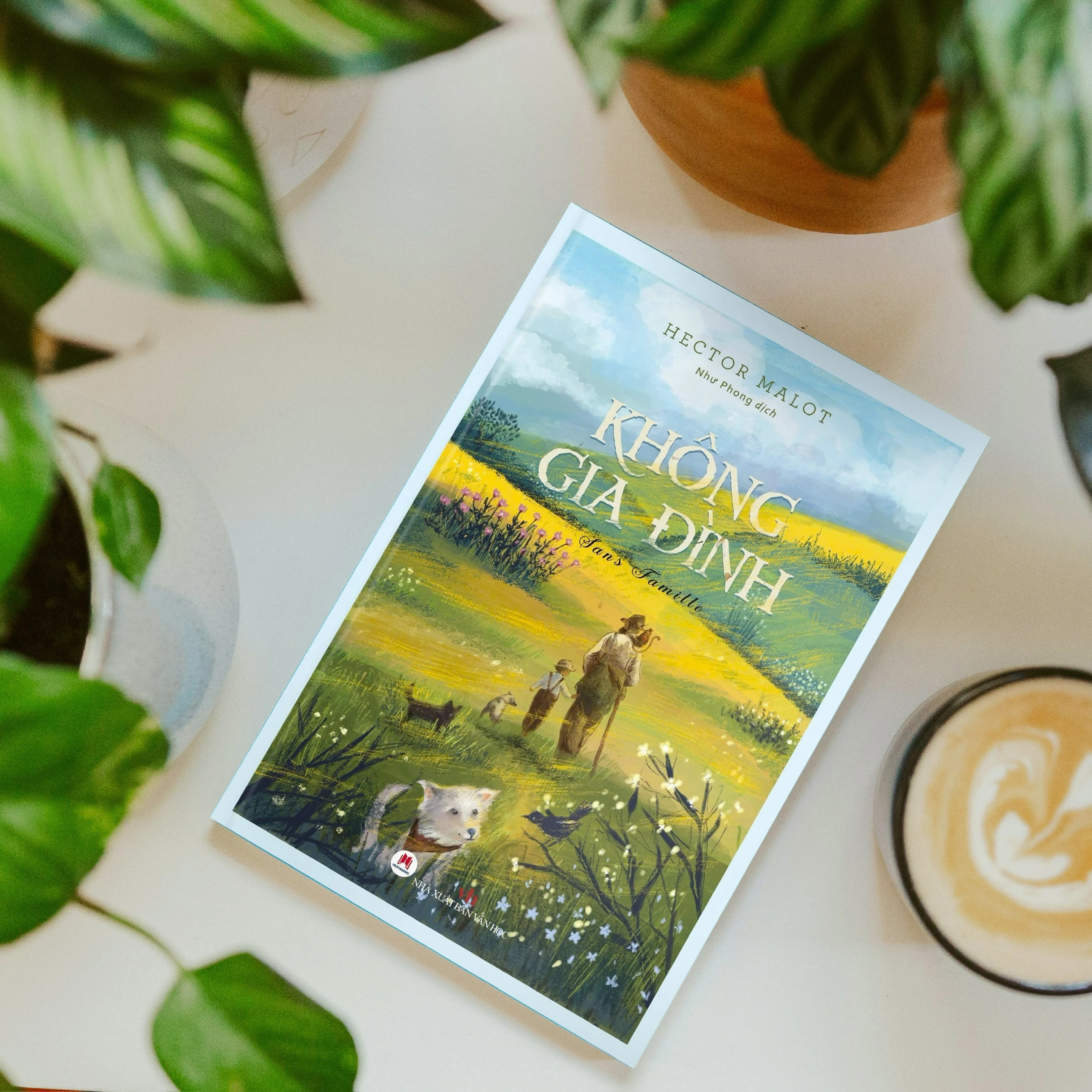 không gia đình - bìa cứng (tái bản 2024) - Ảnh 3