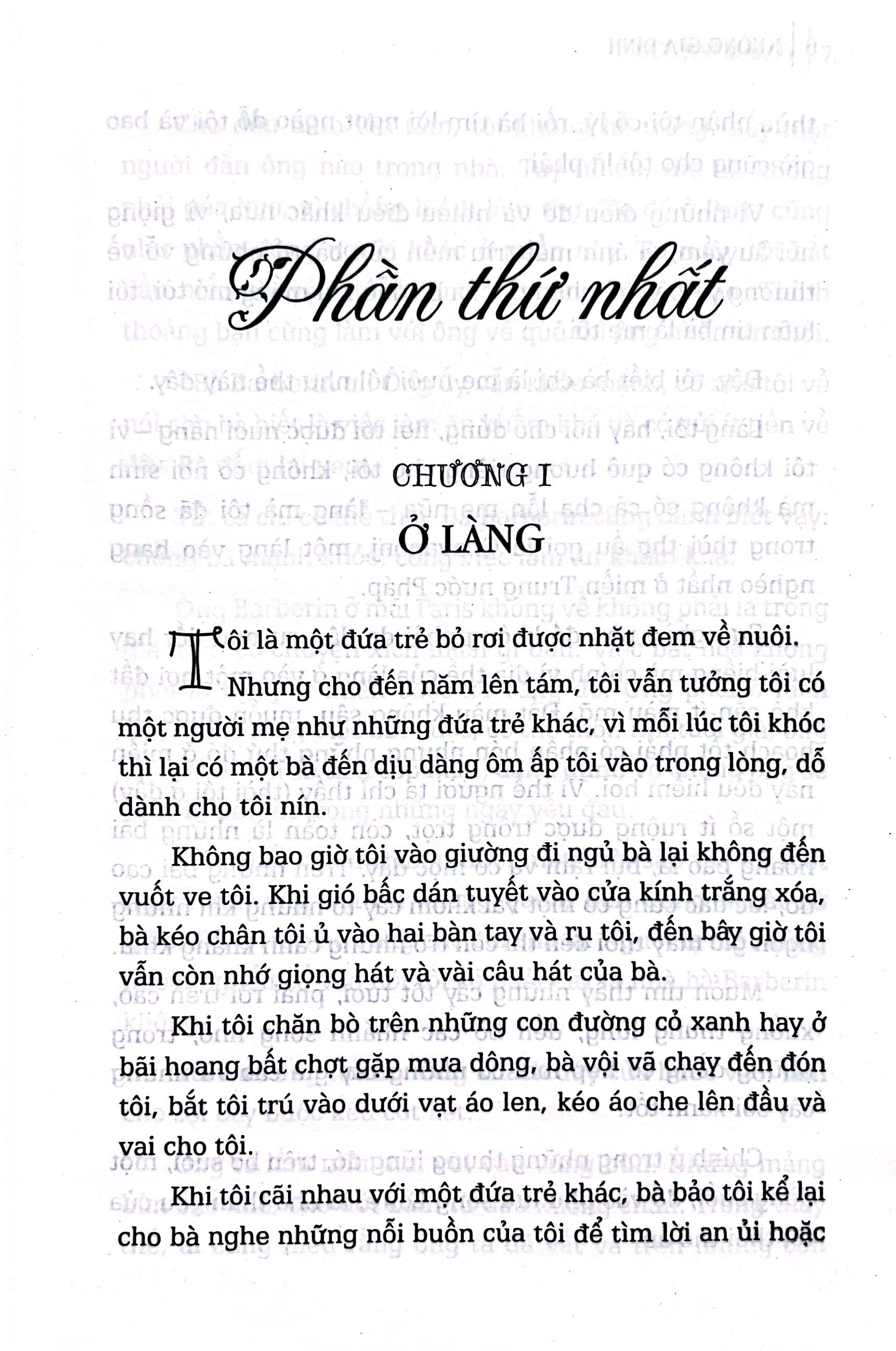 không gia đình - bìa cứng (tái bản 2025) - Ảnh 4