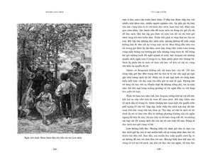 không gia đình (bìa mềm) - Ảnh 5