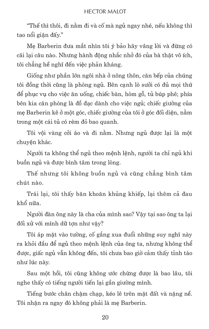 không gia đình (tái bản) - Ảnh 17