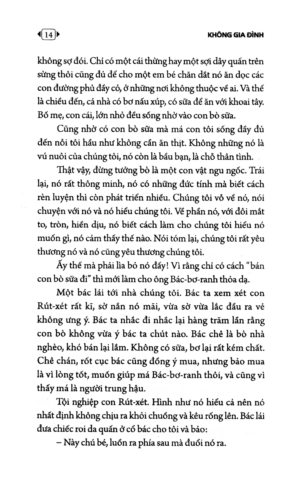 không gia đình (tái bản 2022) - Ảnh 11