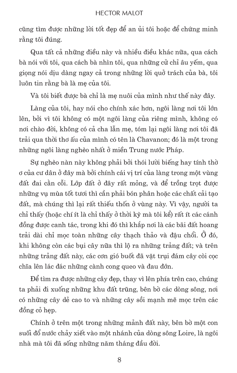 không gia đình (tái bản) - Ảnh 5