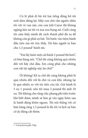 không gia đình - tập 2 - những ngày lưu lạc - Ảnh 11