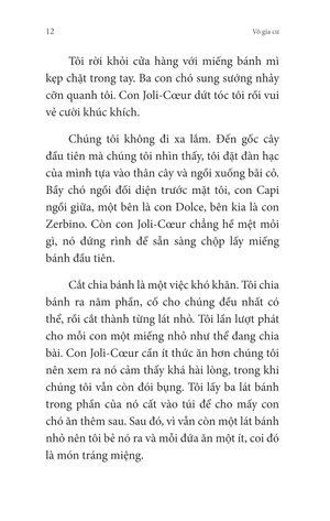 không gia đình - tập 2 - những ngày lưu lạc - Ảnh 12