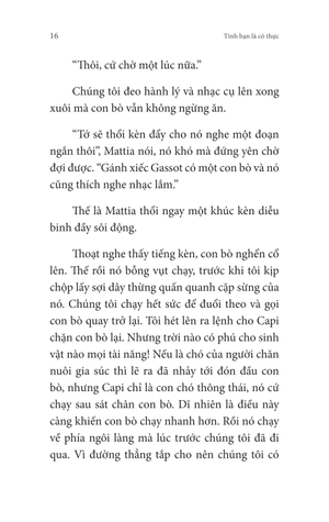 không gia đình - tập 4 - màu sắc của hy vọng - Ảnh 16