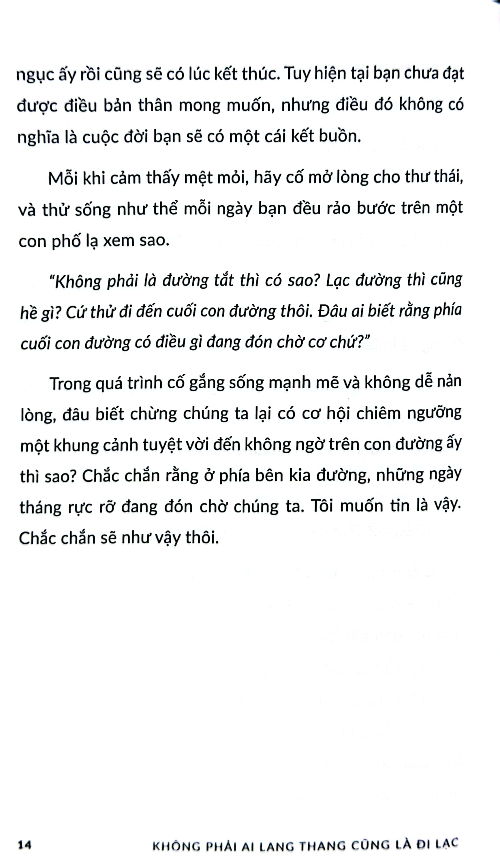 không phải ai lang thang cũng là đi lạc - Ảnh 12