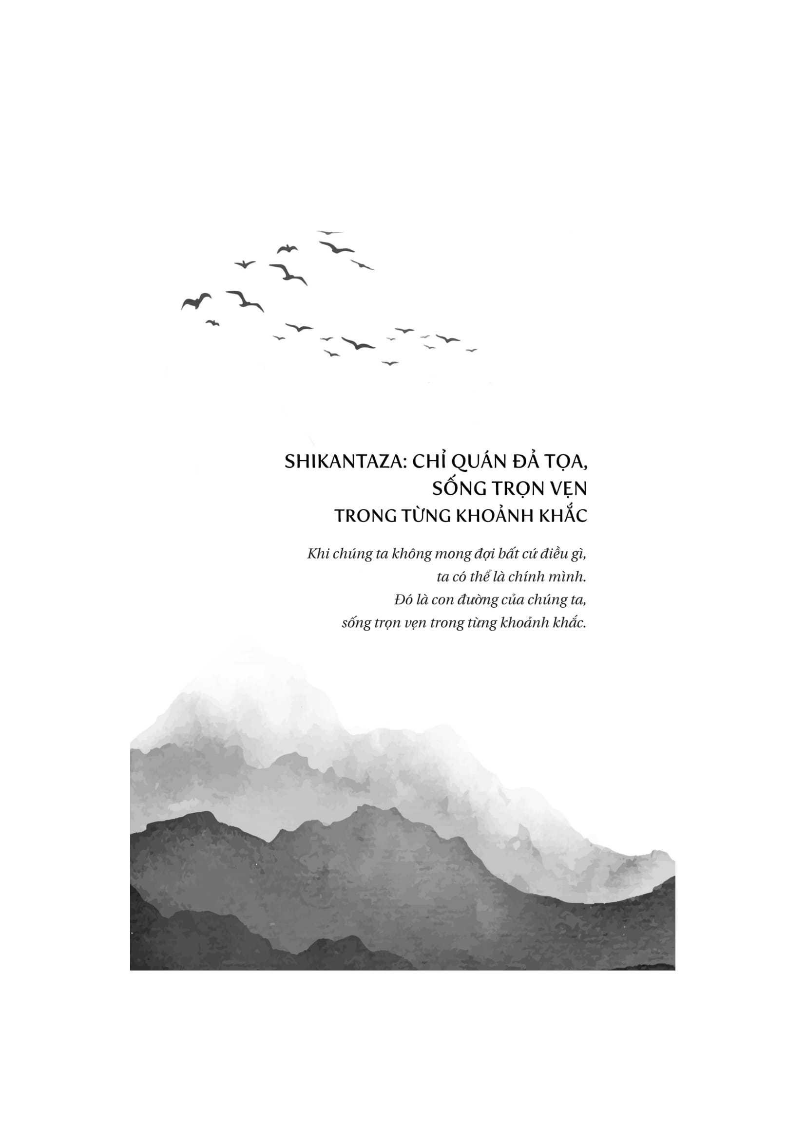 Không Phải Bao Giờ Cũng Vậy - Tinh Thần Đích Thực Của Thiền - Not Always So - Ảnh 14