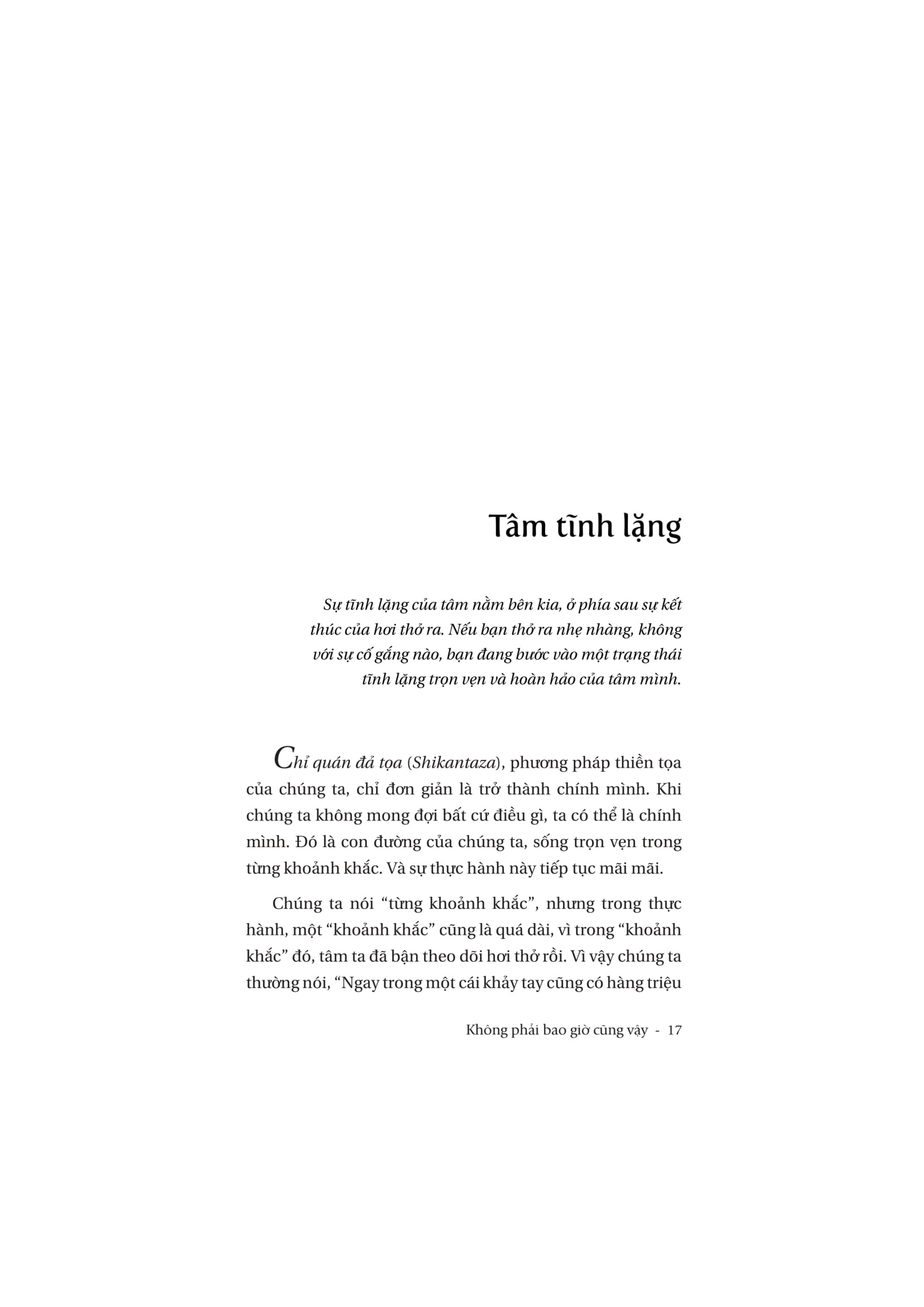 Không Phải Bao Giờ Cũng Vậy - Tinh Thần Đích Thực Của Thiền - Not Always So - Ảnh 15