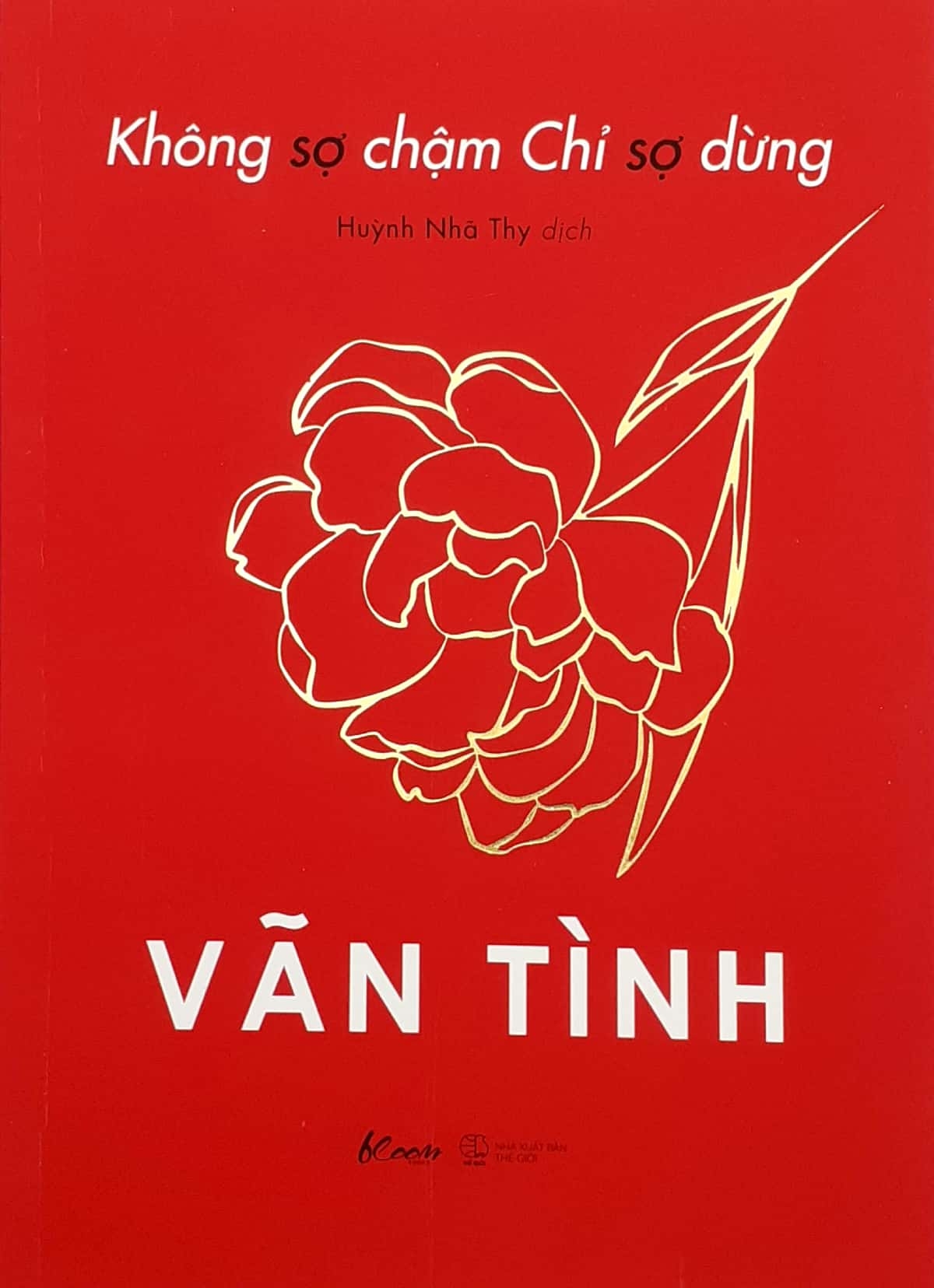 không sợ chậm chỉ sợ dừng - Ảnh 2