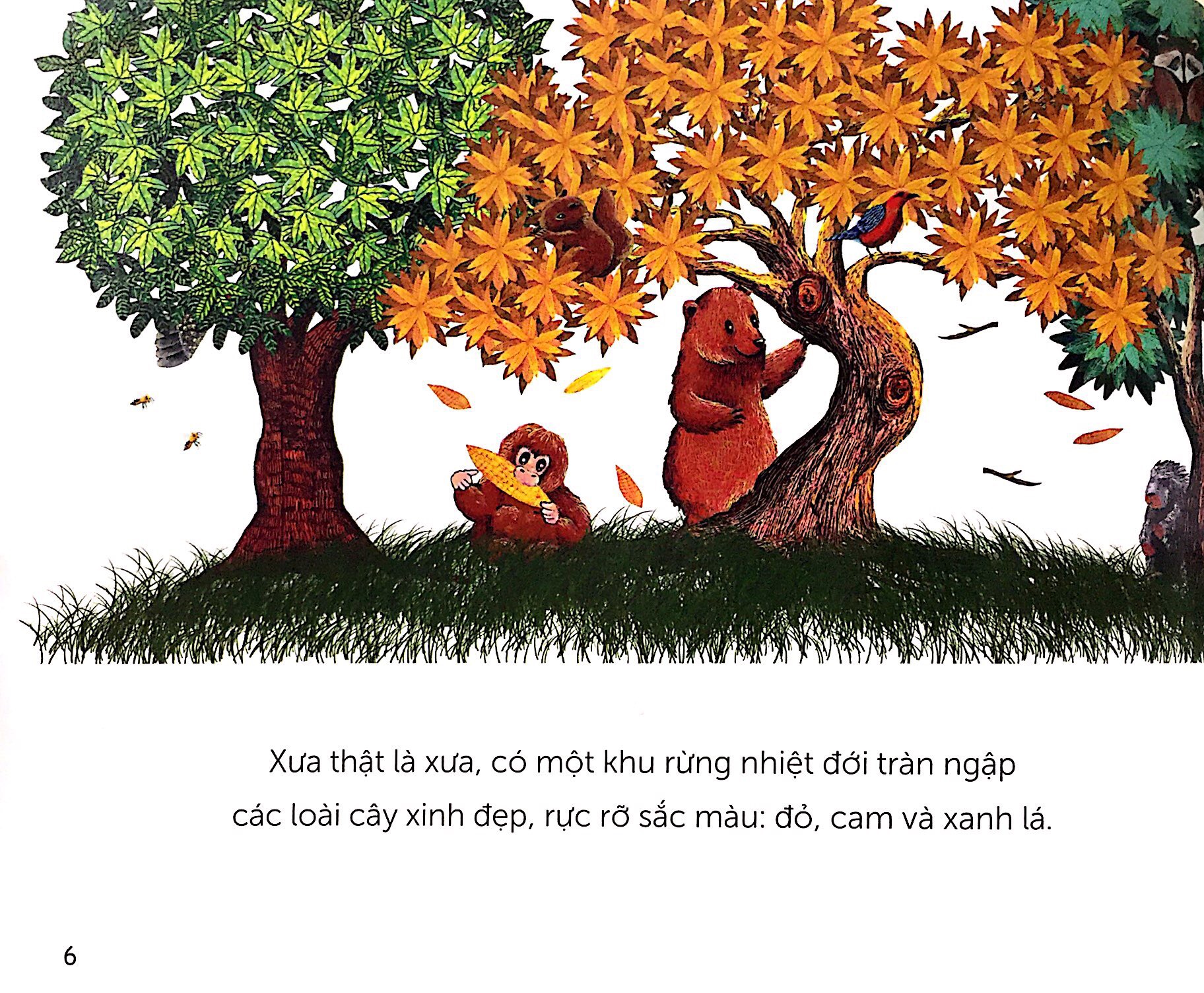 khu rừng cổ tích - Ảnh 2