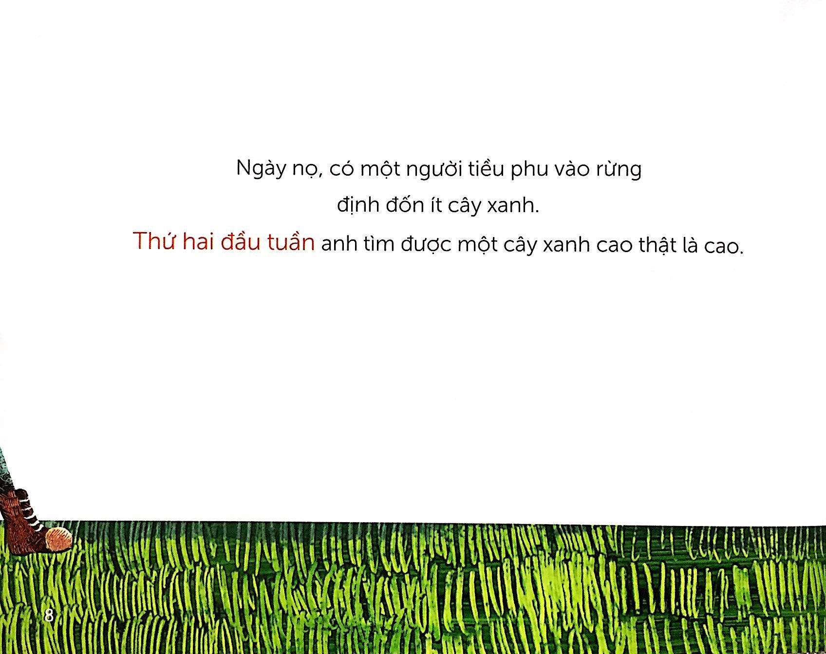 khu rừng cổ tích - Ảnh 4