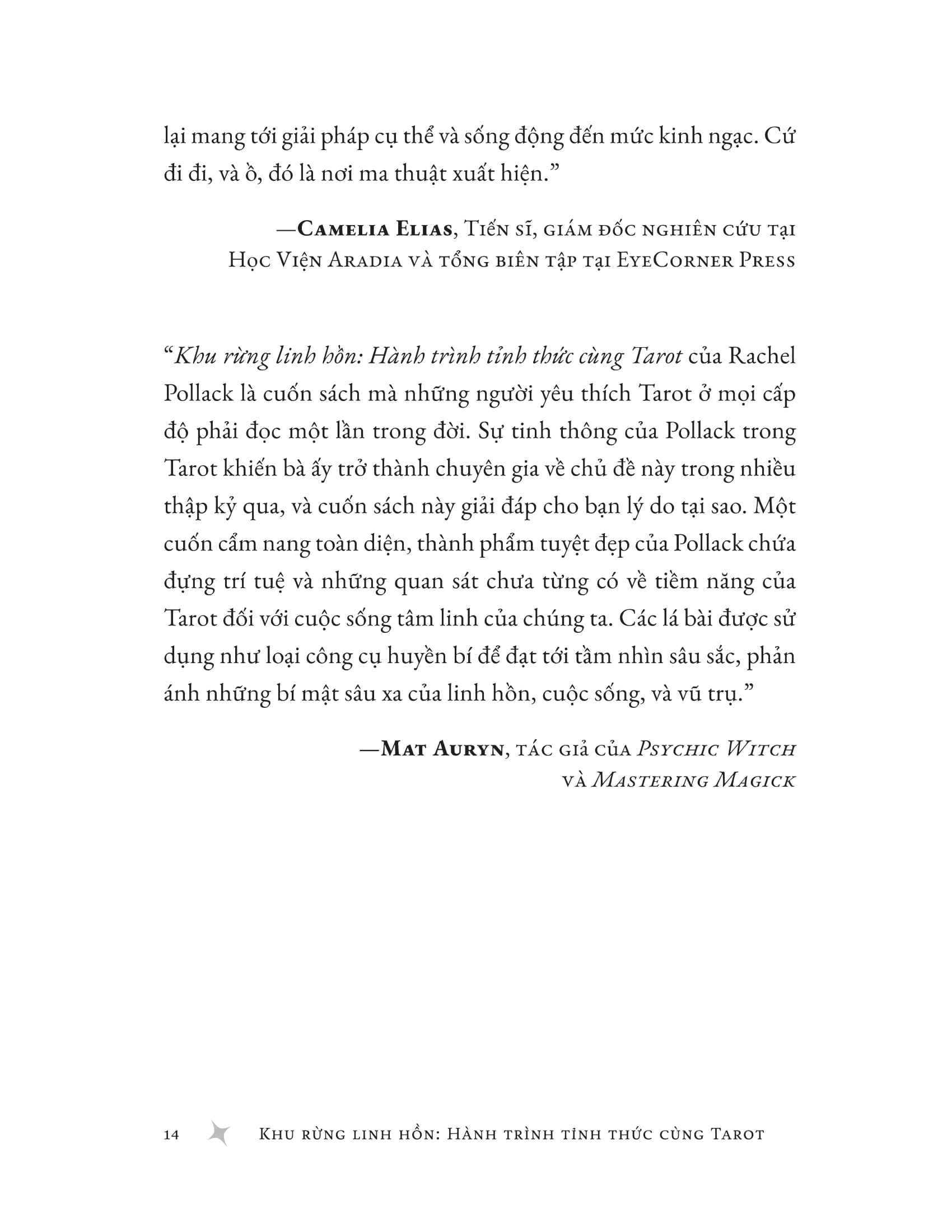 Khu Rừng Linh Hồn - Hành Trình Tỉnh Thức Cùng Tarot - Ảnh 14