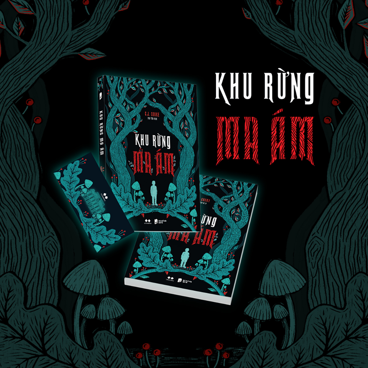khu rừng ma ám - Ảnh 4