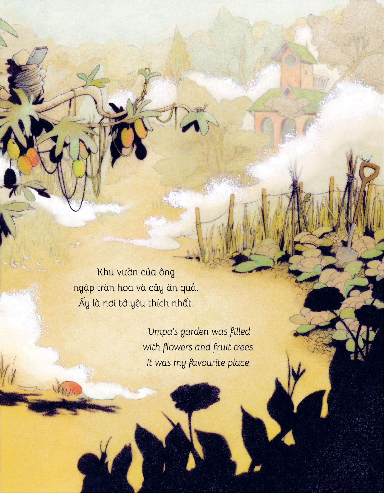 Khu Rừng Trên Mây - Ảnh 5