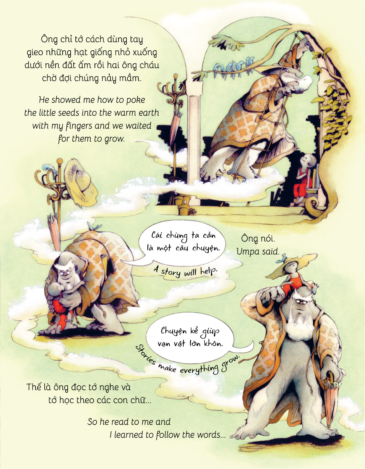 Khu Rừng Trên Mây - Ảnh 7