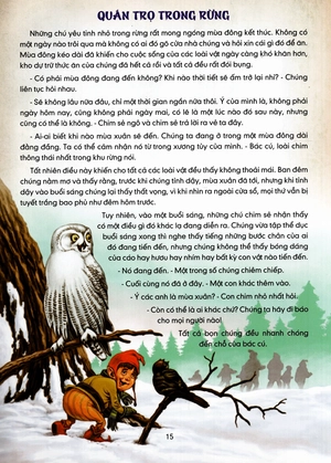 khu rừng vui vẻ - Ảnh 13