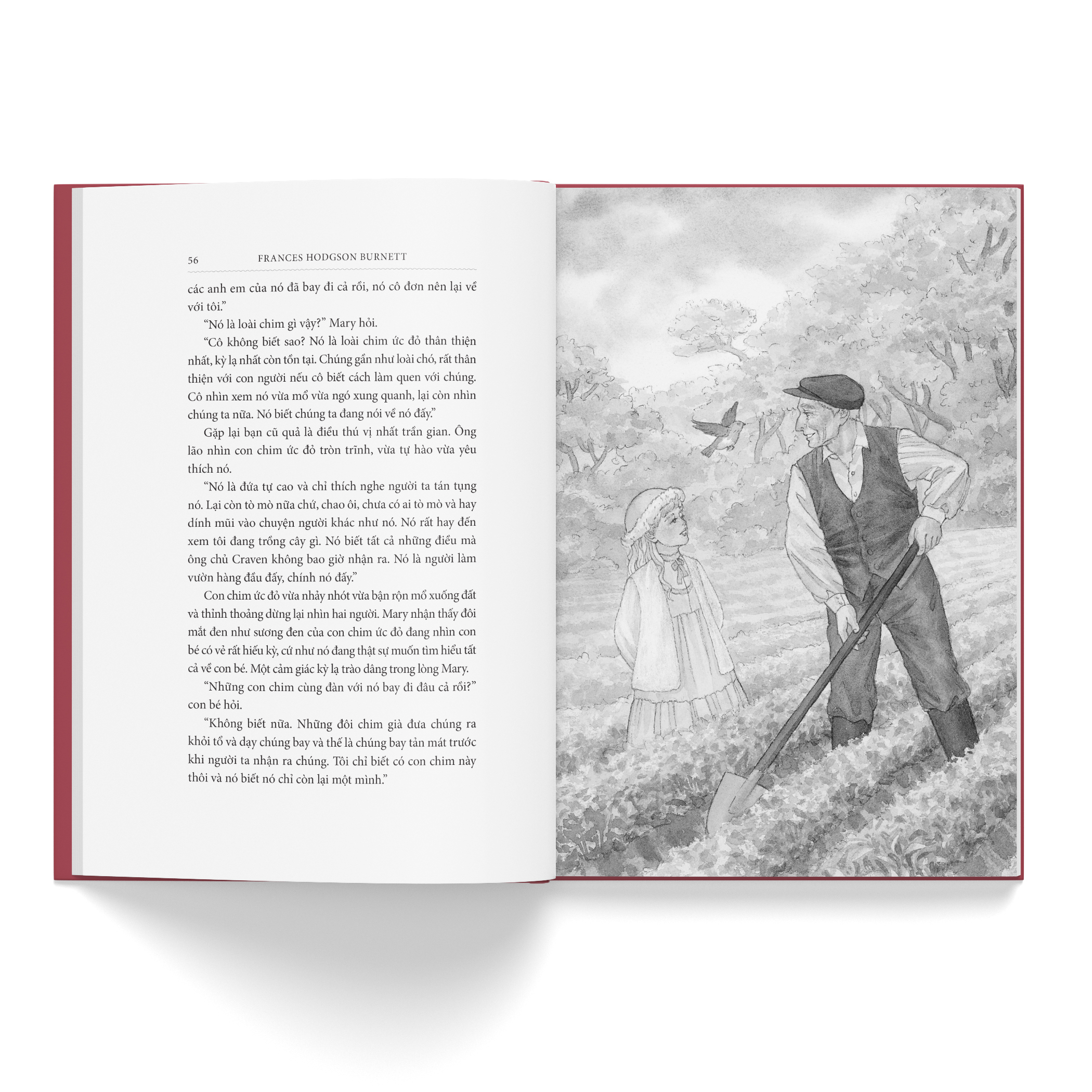 Khu Vườn Bí Mật - Bìa Vải - Ảnh 3