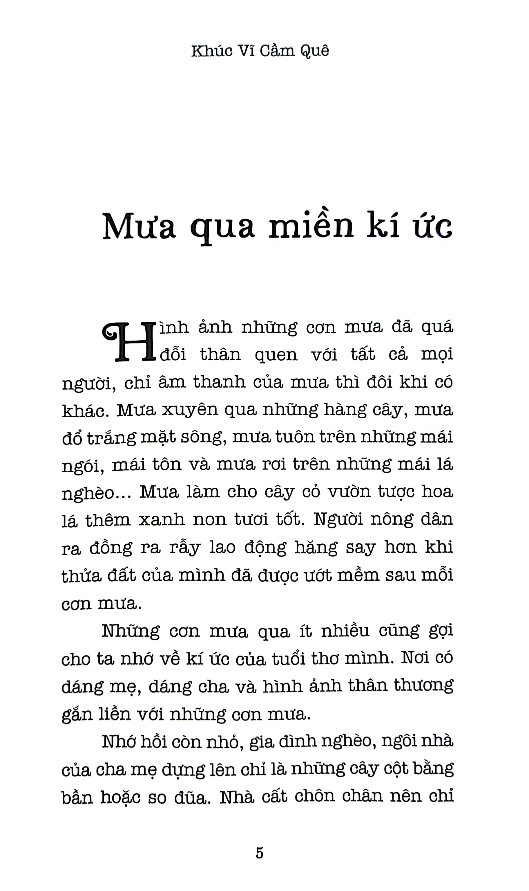 khúc vĩ cầm quê - Ảnh 3