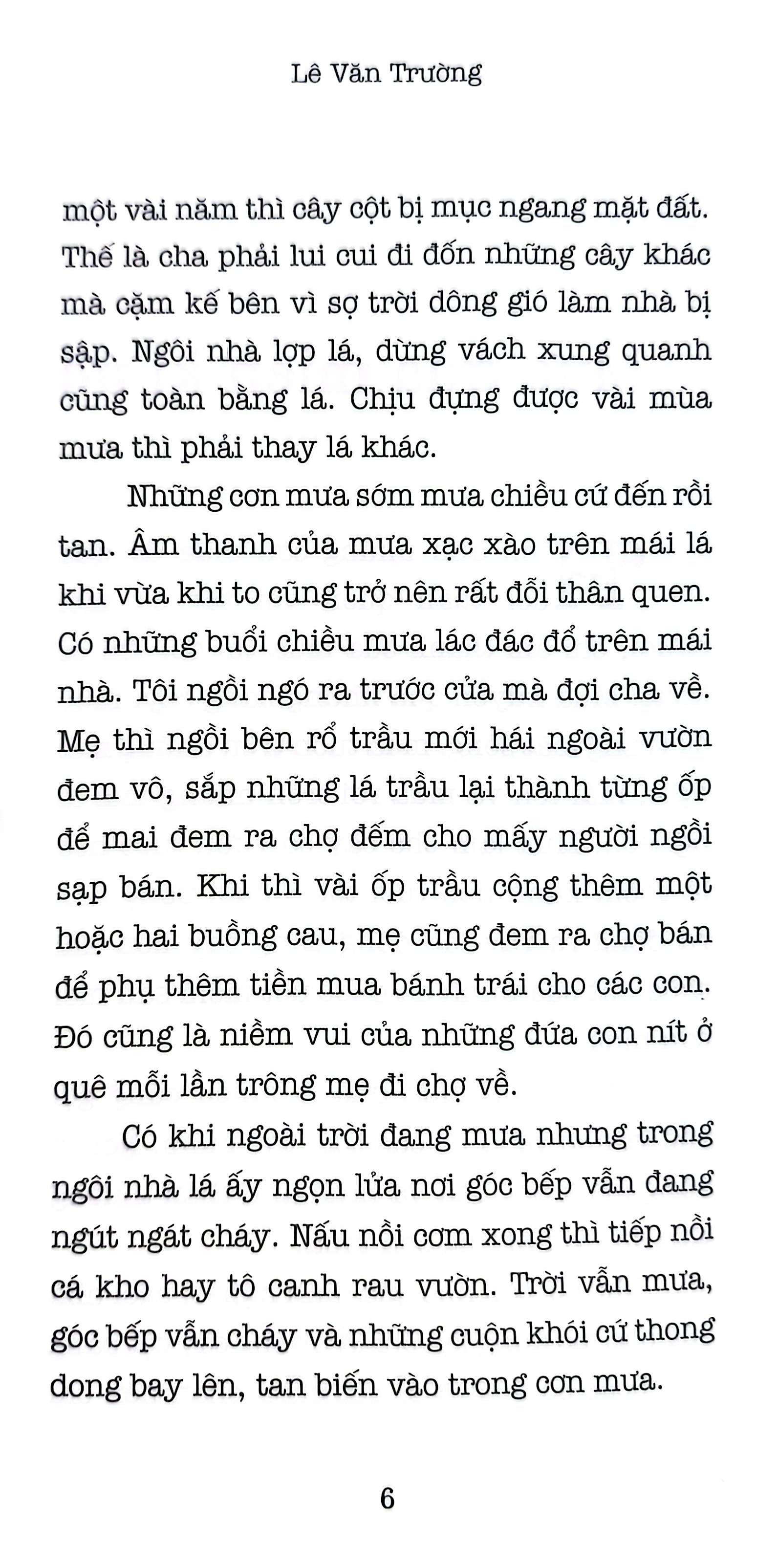 khúc vĩ cầm quê - Ảnh 4