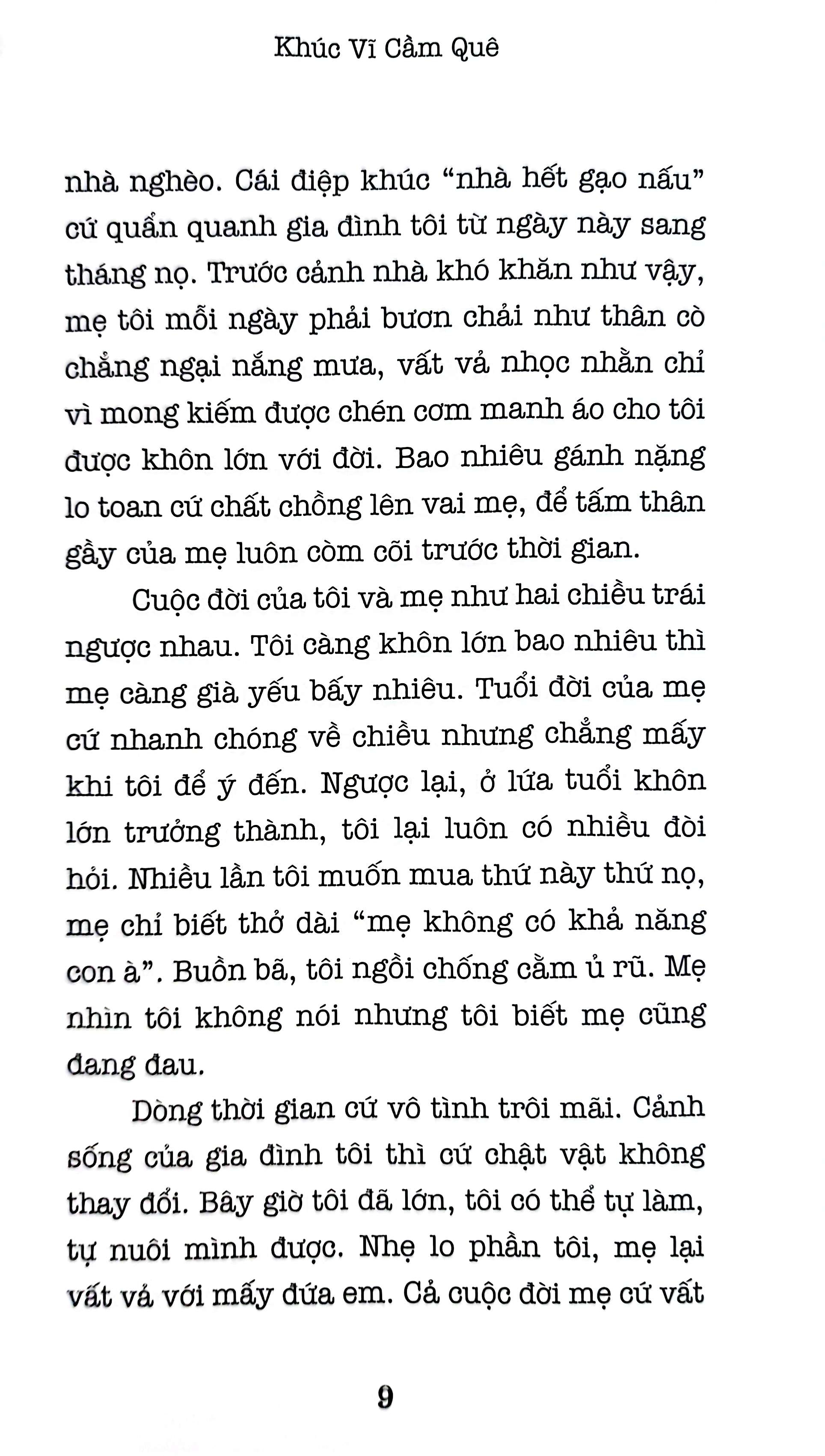 khúc vĩ cầm quê - Ảnh 7