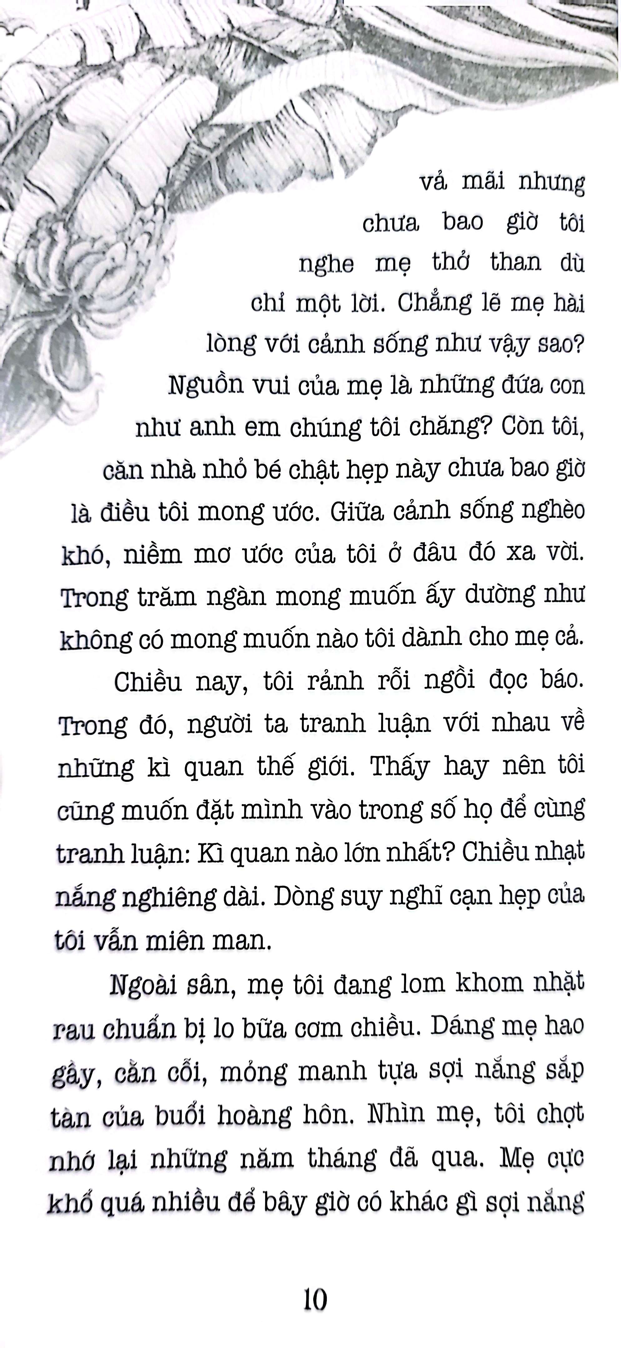 khúc vĩ cầm quê - Ảnh 8