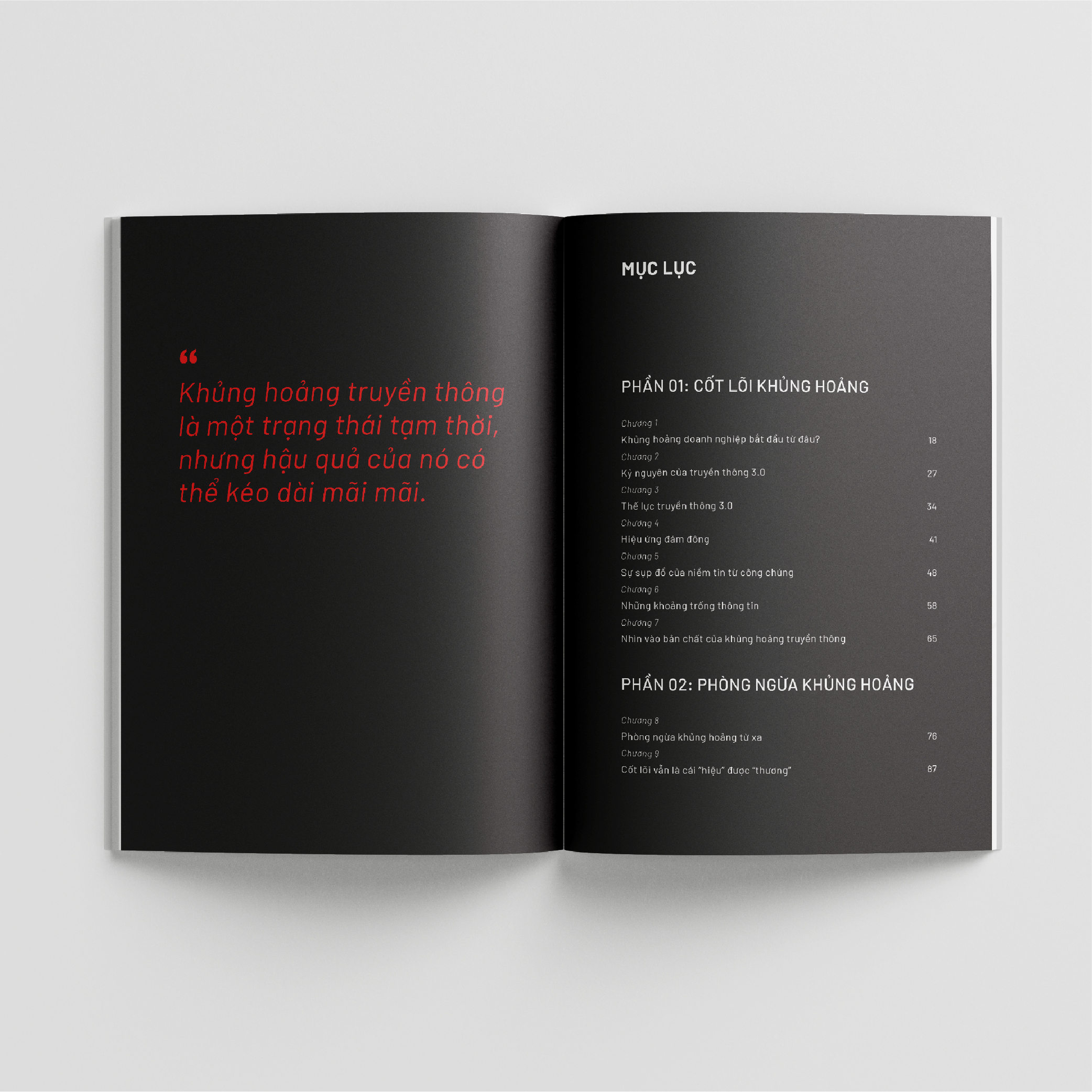 khủng hoảng không bắt đầu từ truyền thông - Ảnh 5