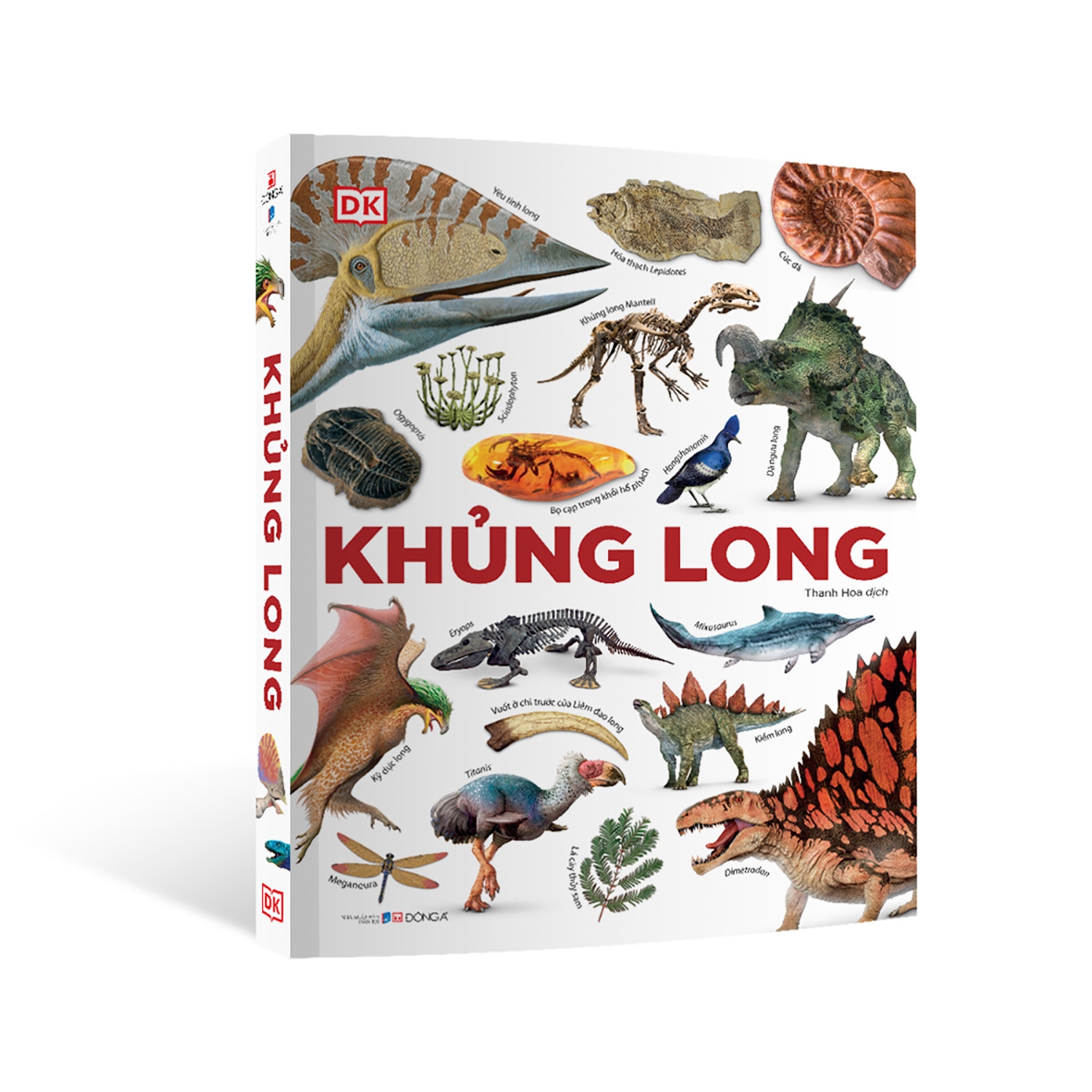 khủng long - Ảnh 2