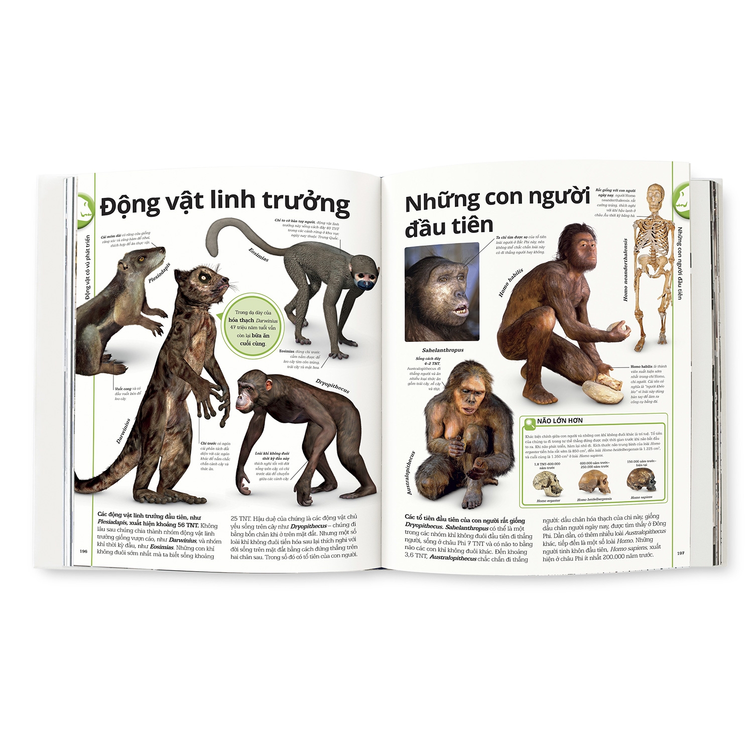 khủng long - Ảnh 3