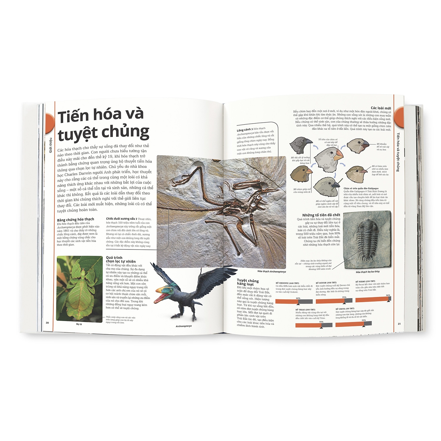 khủng long - Ảnh 4