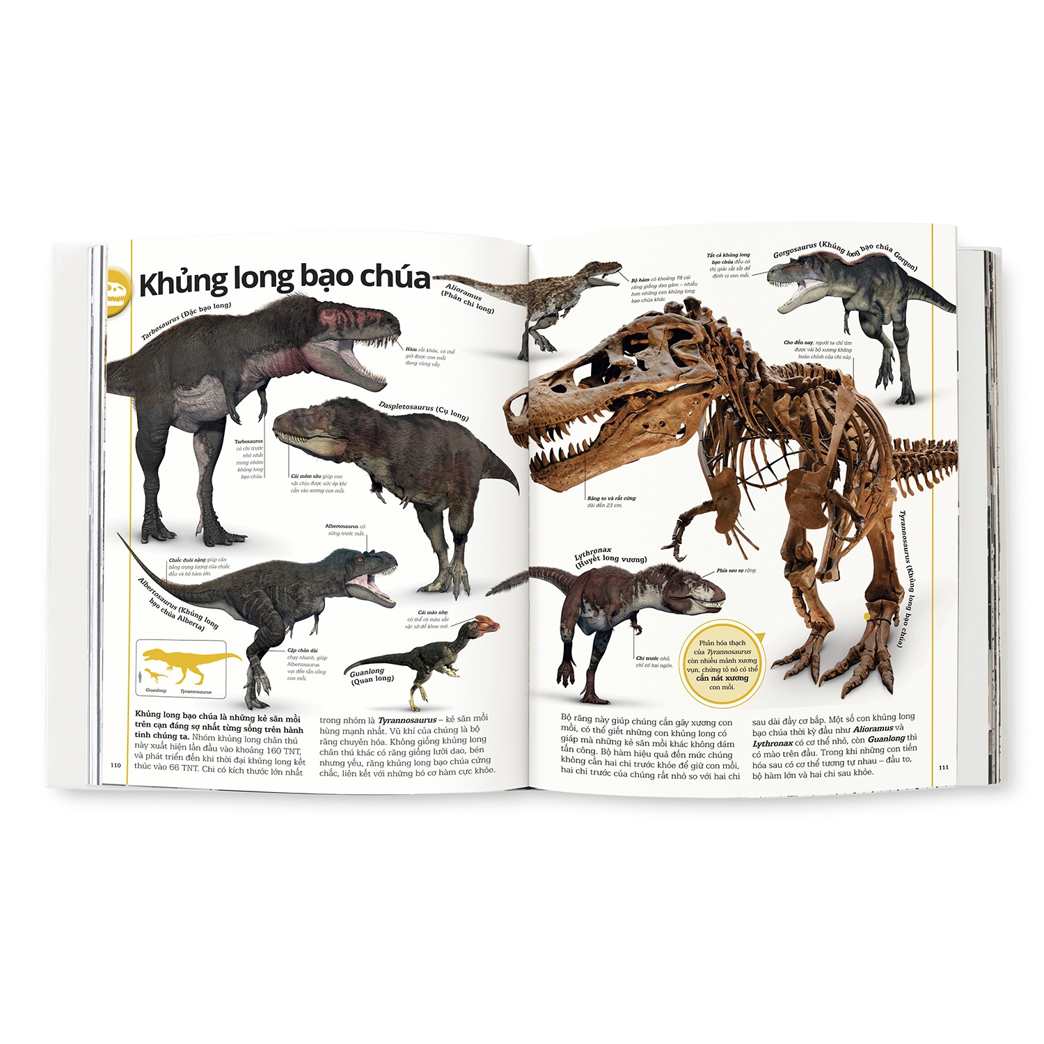 khủng long - Ảnh 5