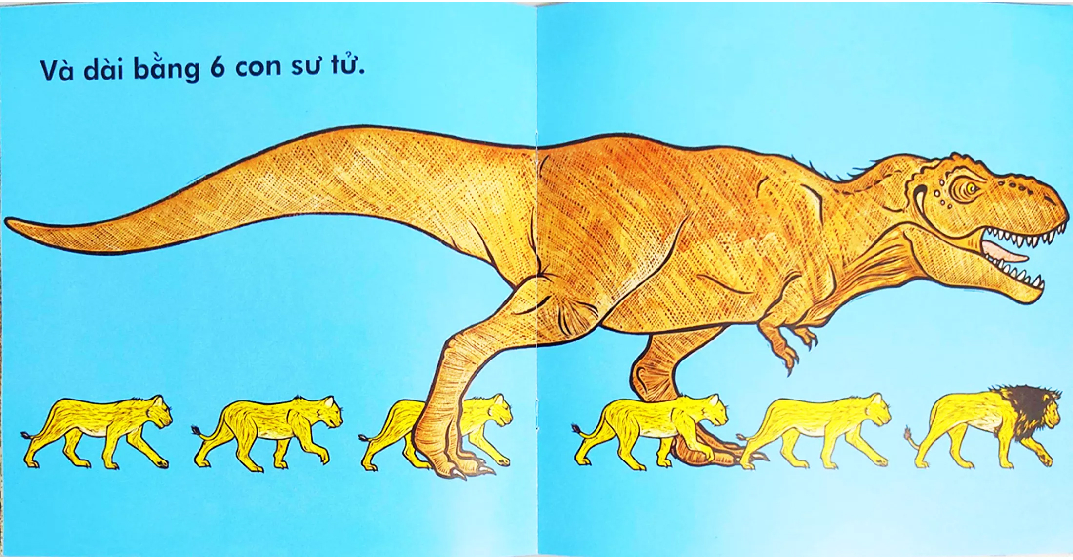 khủng long bạo chúa cao chừng nào? (tái bản 2023) - Ảnh 5