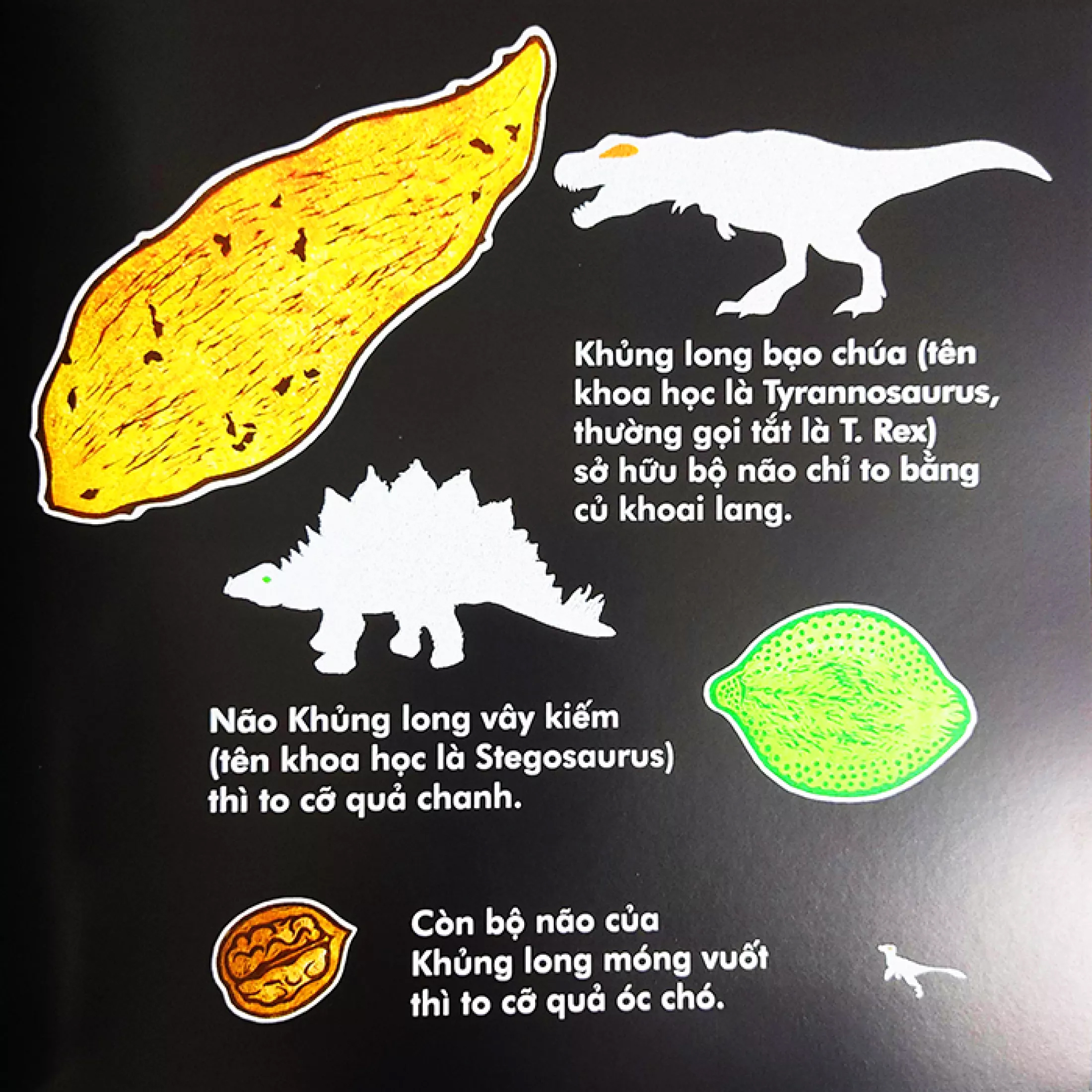 khủng long móng vuốt chạy nhanh chừng nào? (tái bản 2023) - Ảnh 3