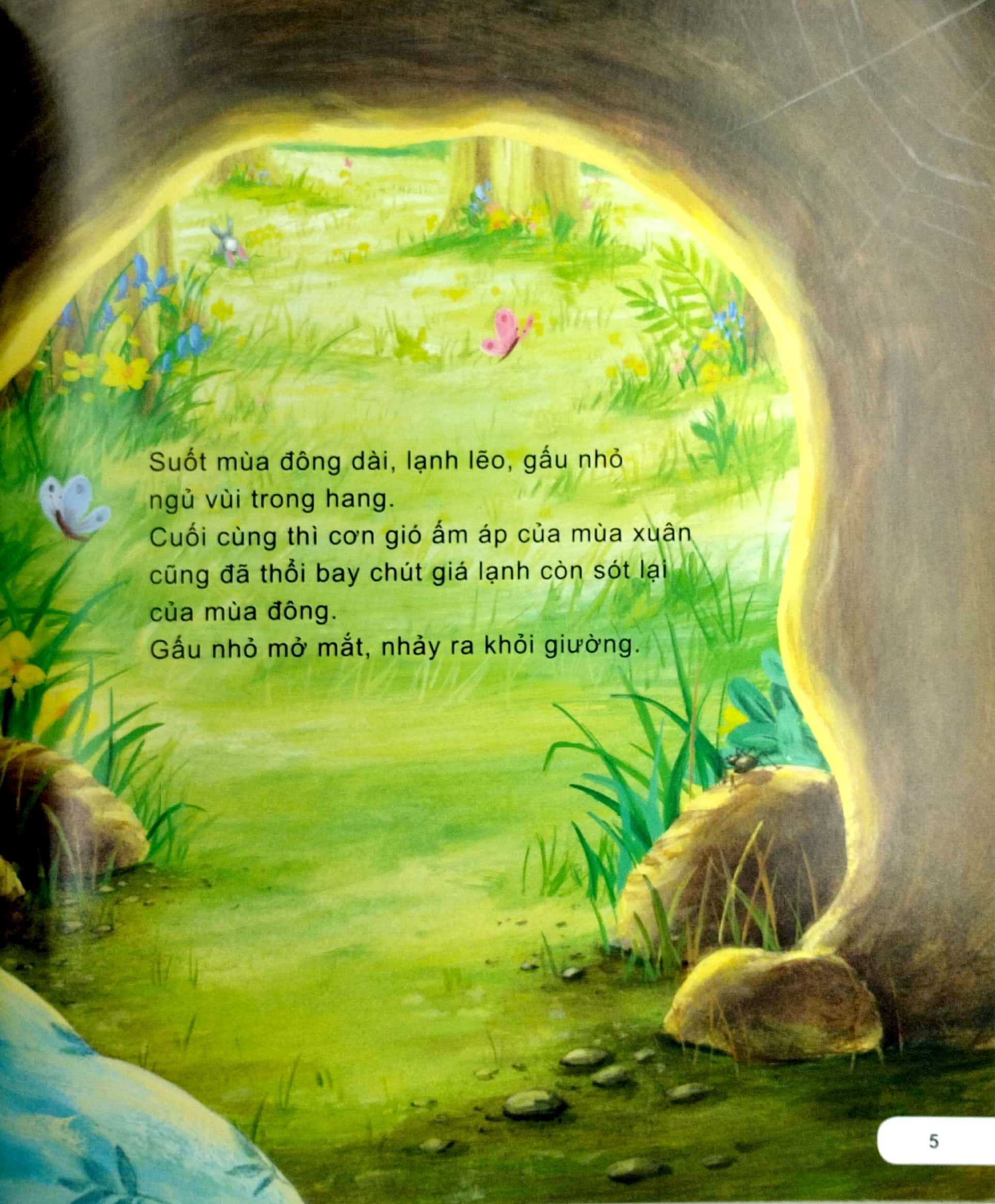 kĩ năng ứng xử với bạn bè - biết giúp đỡ - gấu nhỏ làm bạn cùng rùa - Ảnh 4