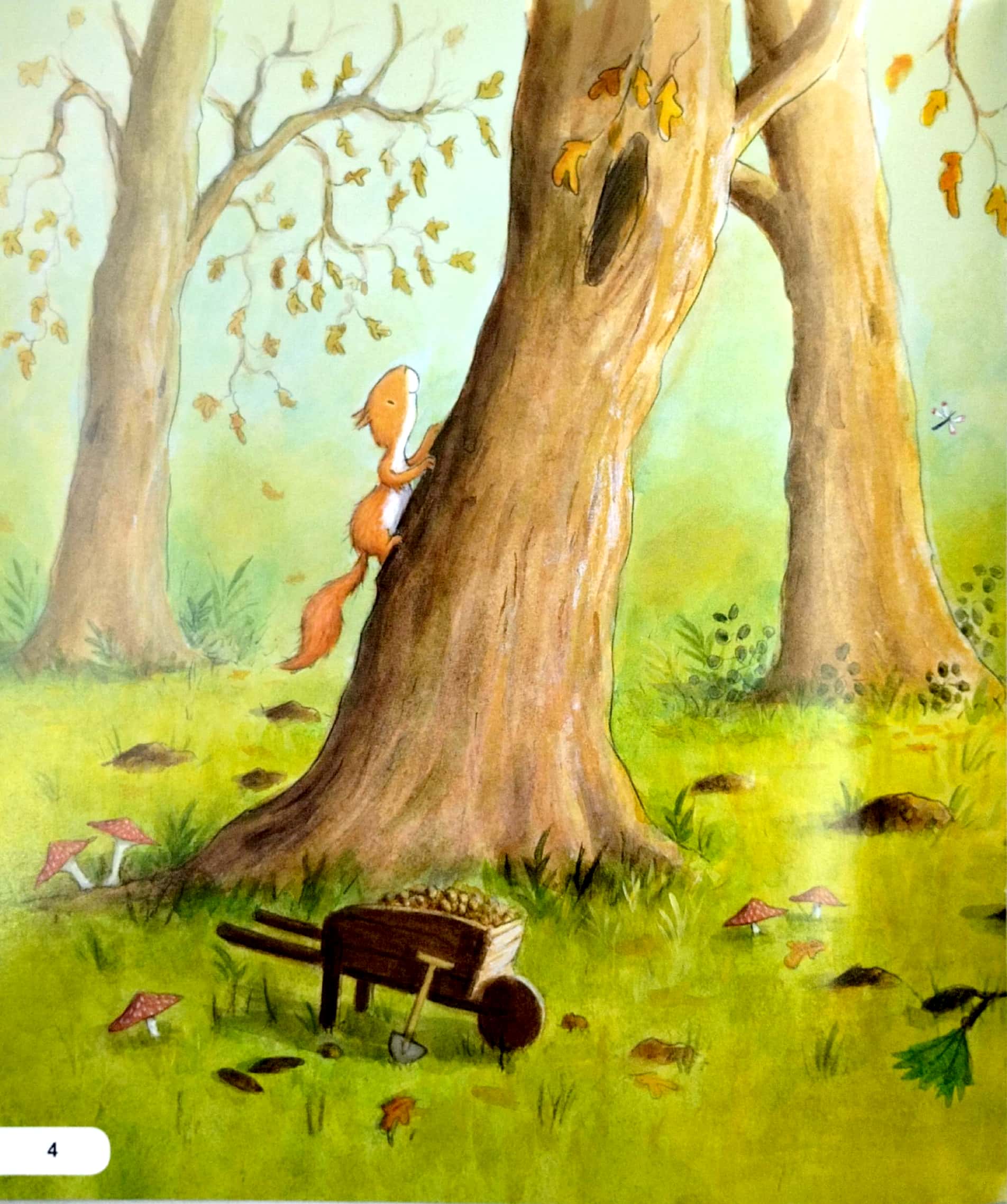 kĩ năng ứng xử với bạn bè - biết hoà nhập - sóc và chim thành bạn - Ảnh 3