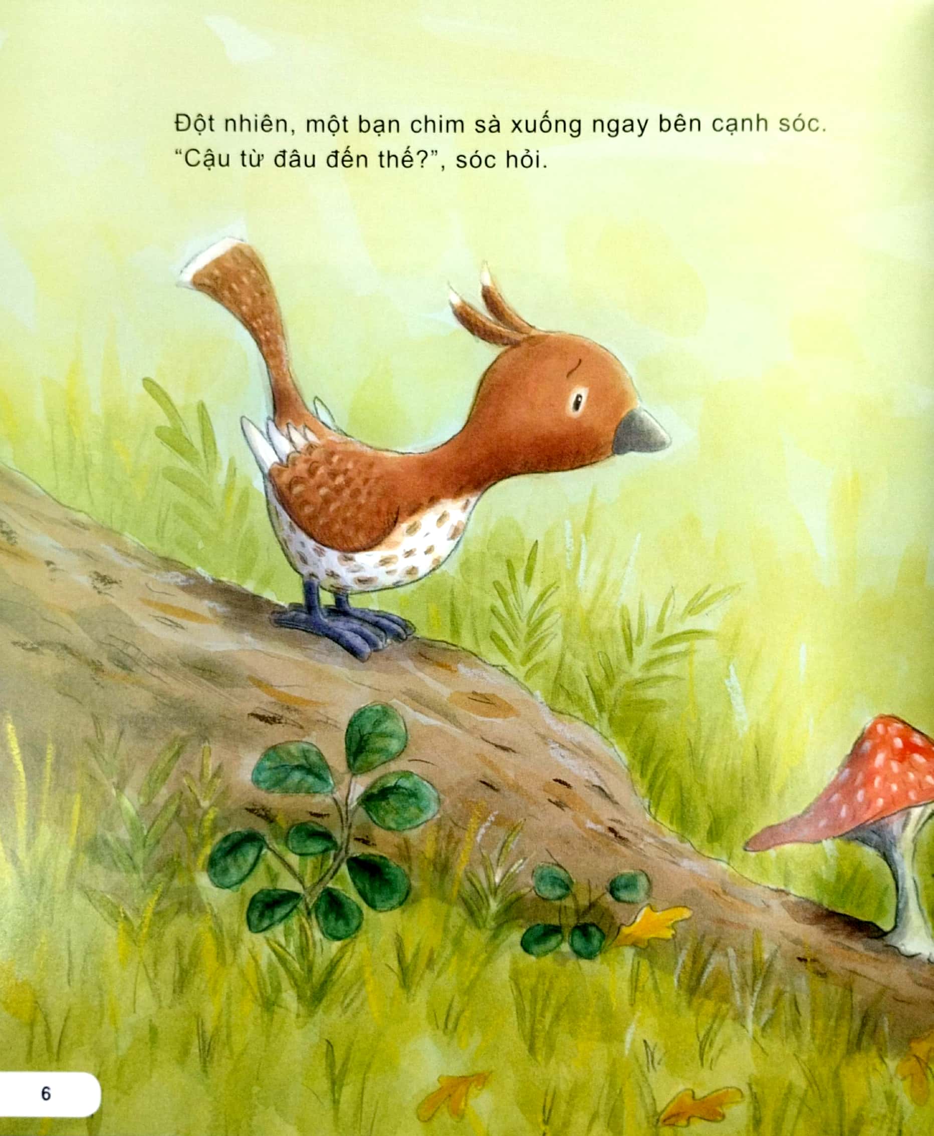 kĩ năng ứng xử với bạn bè - biết hoà nhập - sóc và chim thành bạn - Ảnh 5