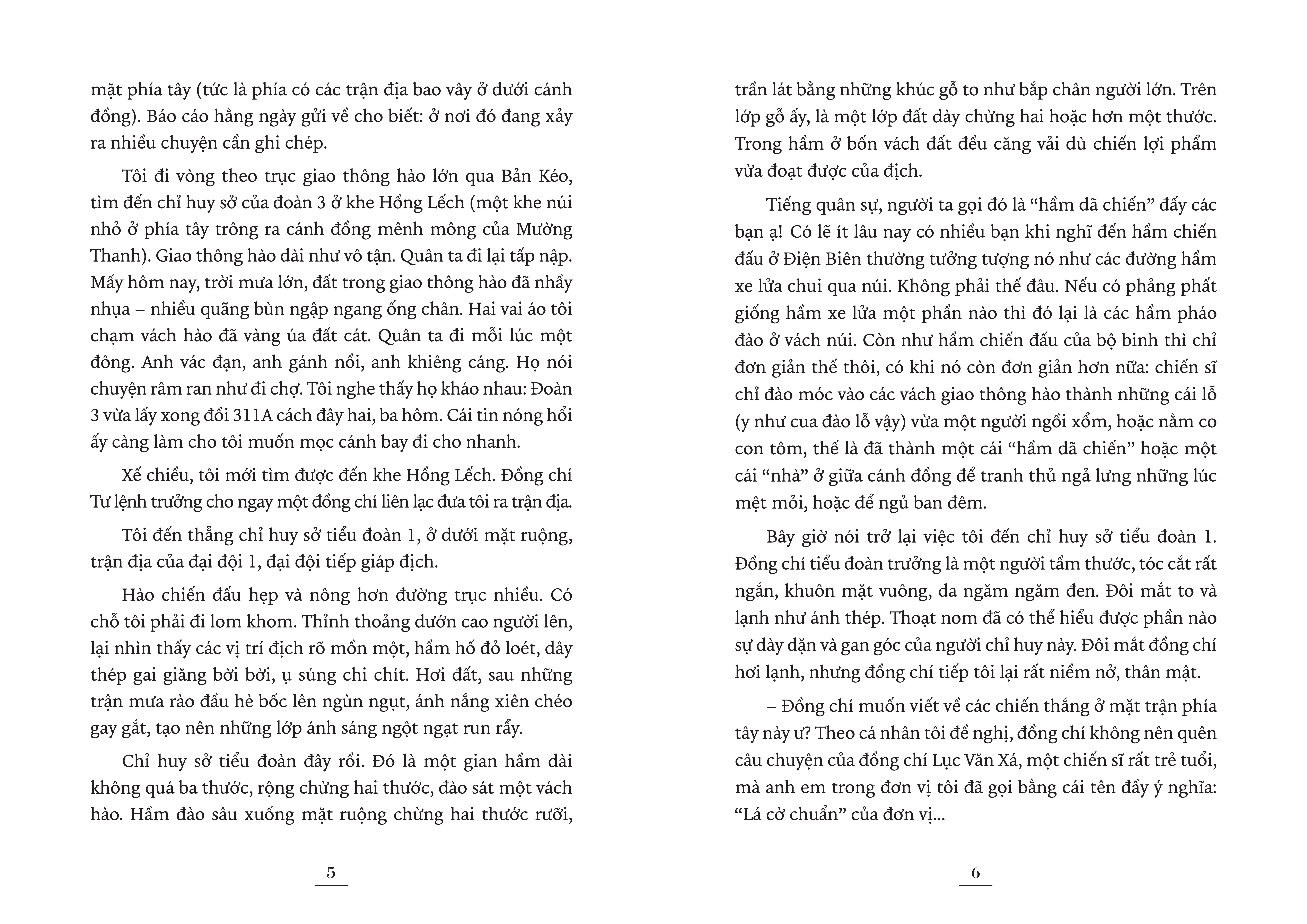 kỉ niệm 70 năm chiến thắng điện biên phủ - lá cờ chuẩn đỏ thắm - Ảnh 3