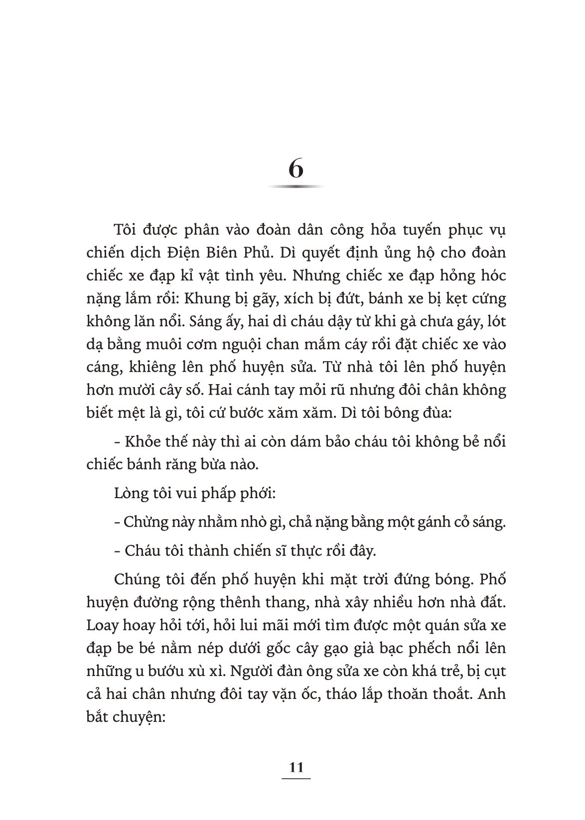 kỉ niệm 70 năm chiến thắng điện biên phủ - mùa ban thay áo - Ảnh 12