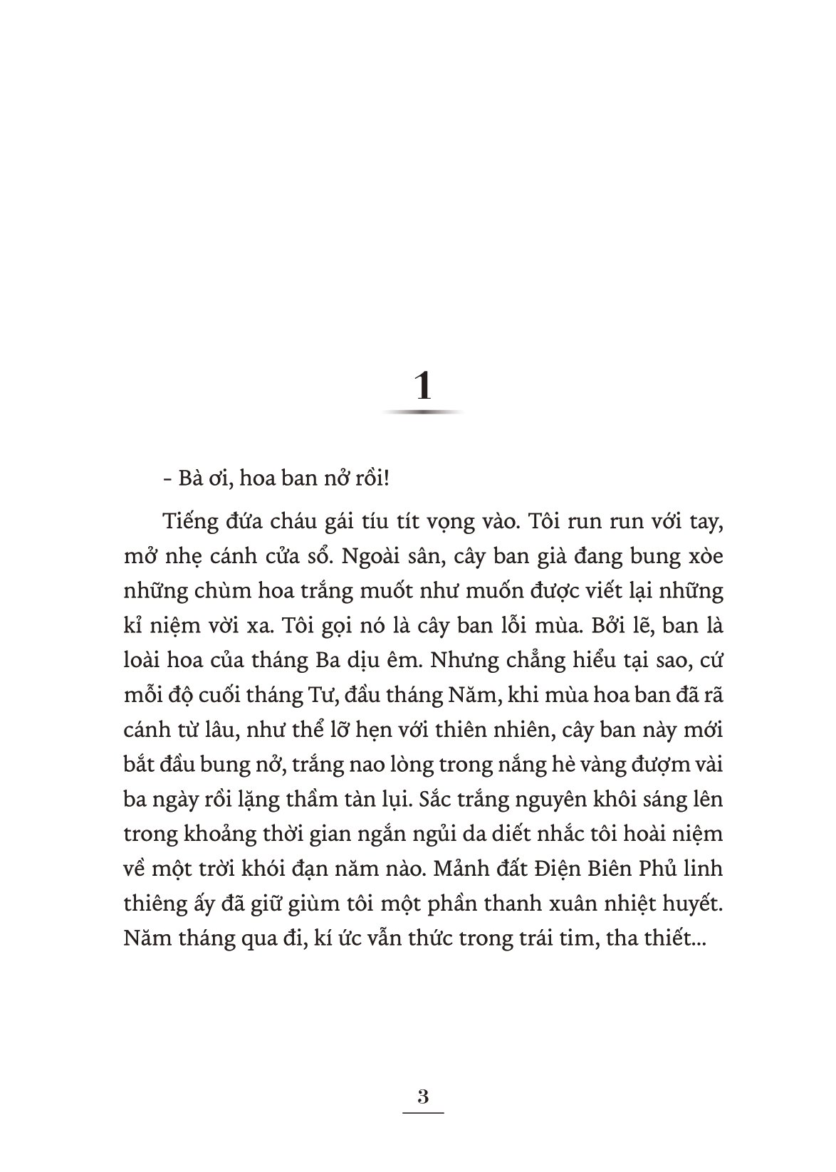 kỉ niệm 70 năm chiến thắng điện biên phủ - mùa ban thay áo - Ảnh 4