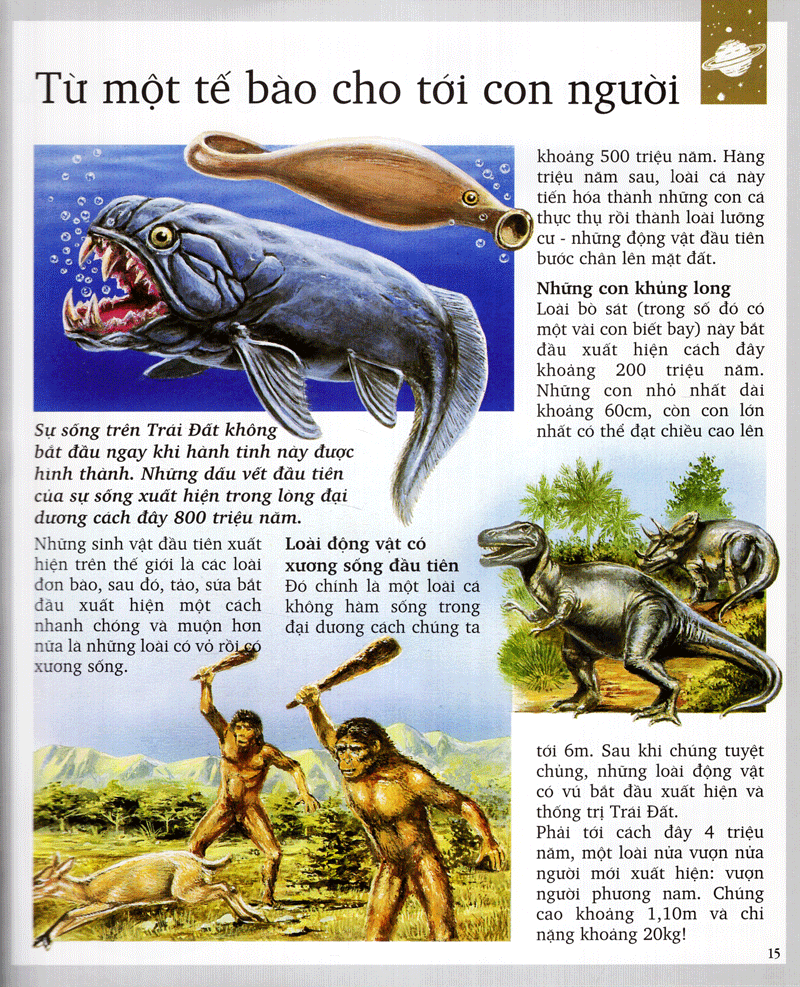 kì quan thiên nhiên (tái bản 2020) - Ảnh 12