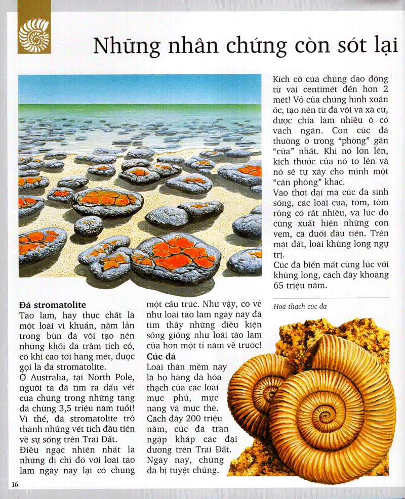 kì quan thiên nhiên (tái bản 2020) - Ảnh 13