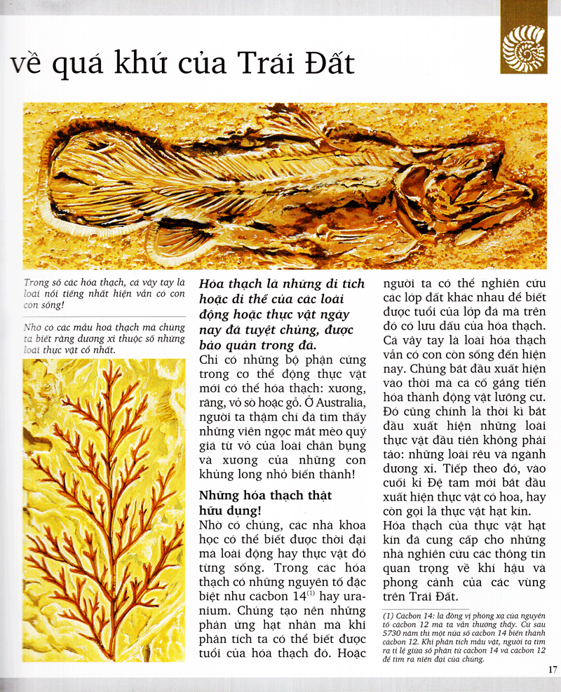 kì quan thiên nhiên (tái bản 2020) - Ảnh 14