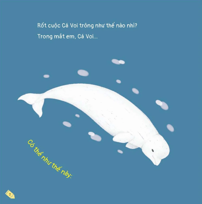 kích thích trí tưởng tượng cho bé - cá voi trông như thế nào? - Ảnh 3
